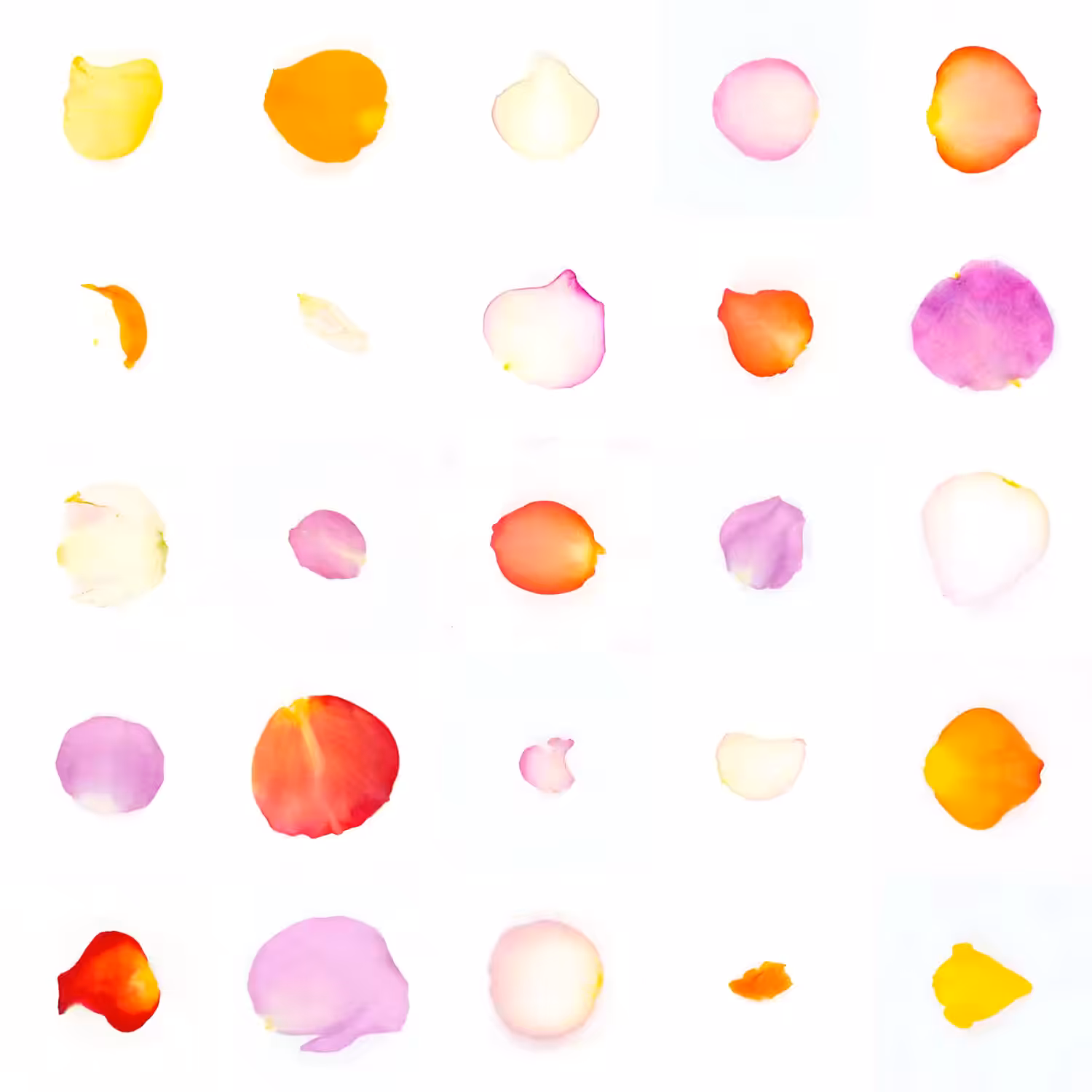 Infinite Petals 5x5#127