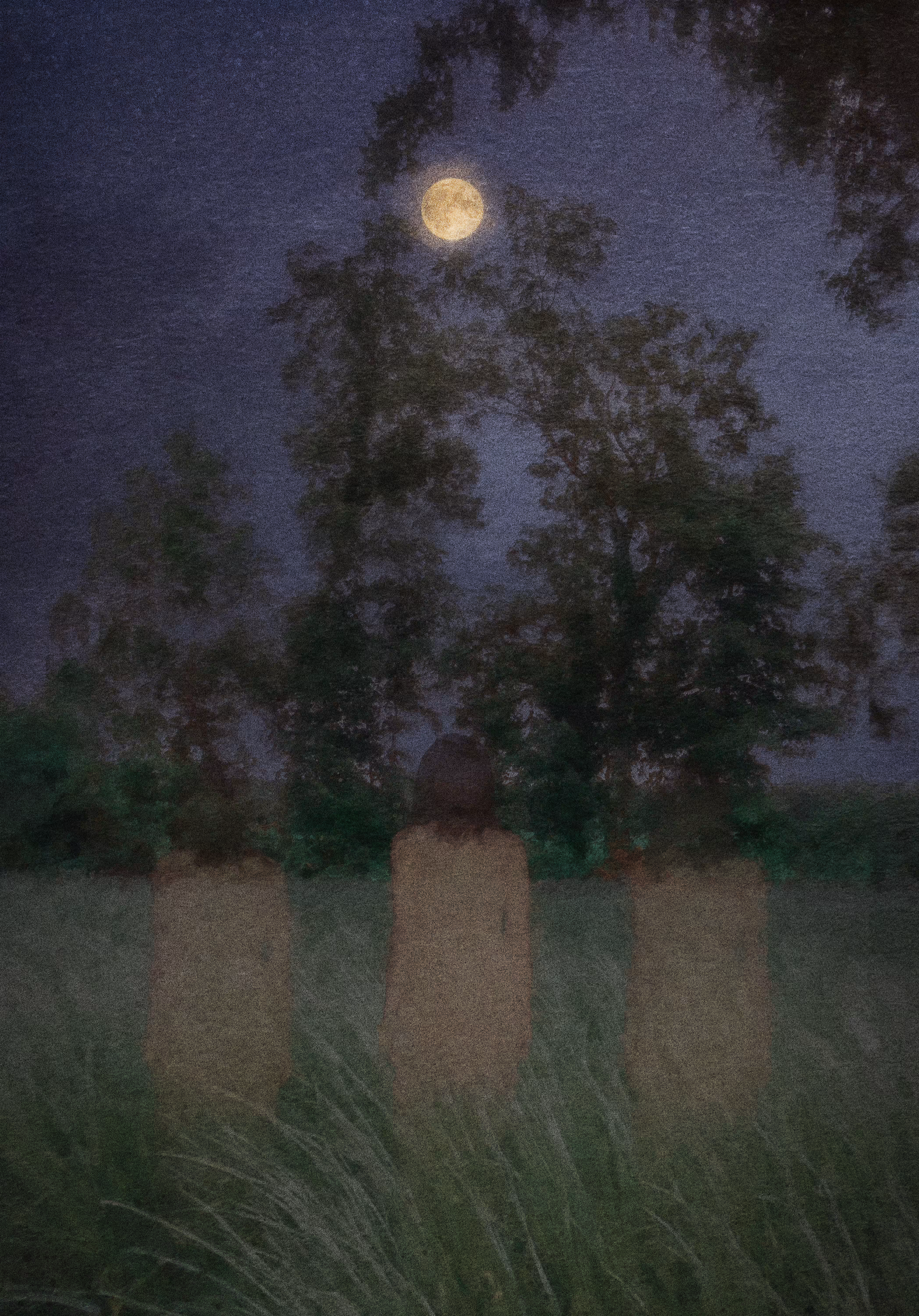 The Awakening