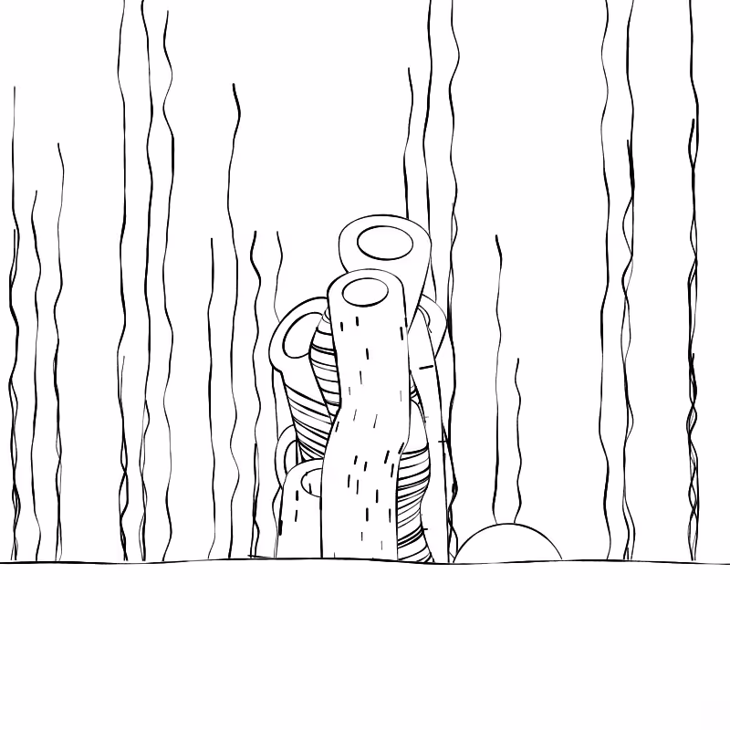 The Good Corals #74