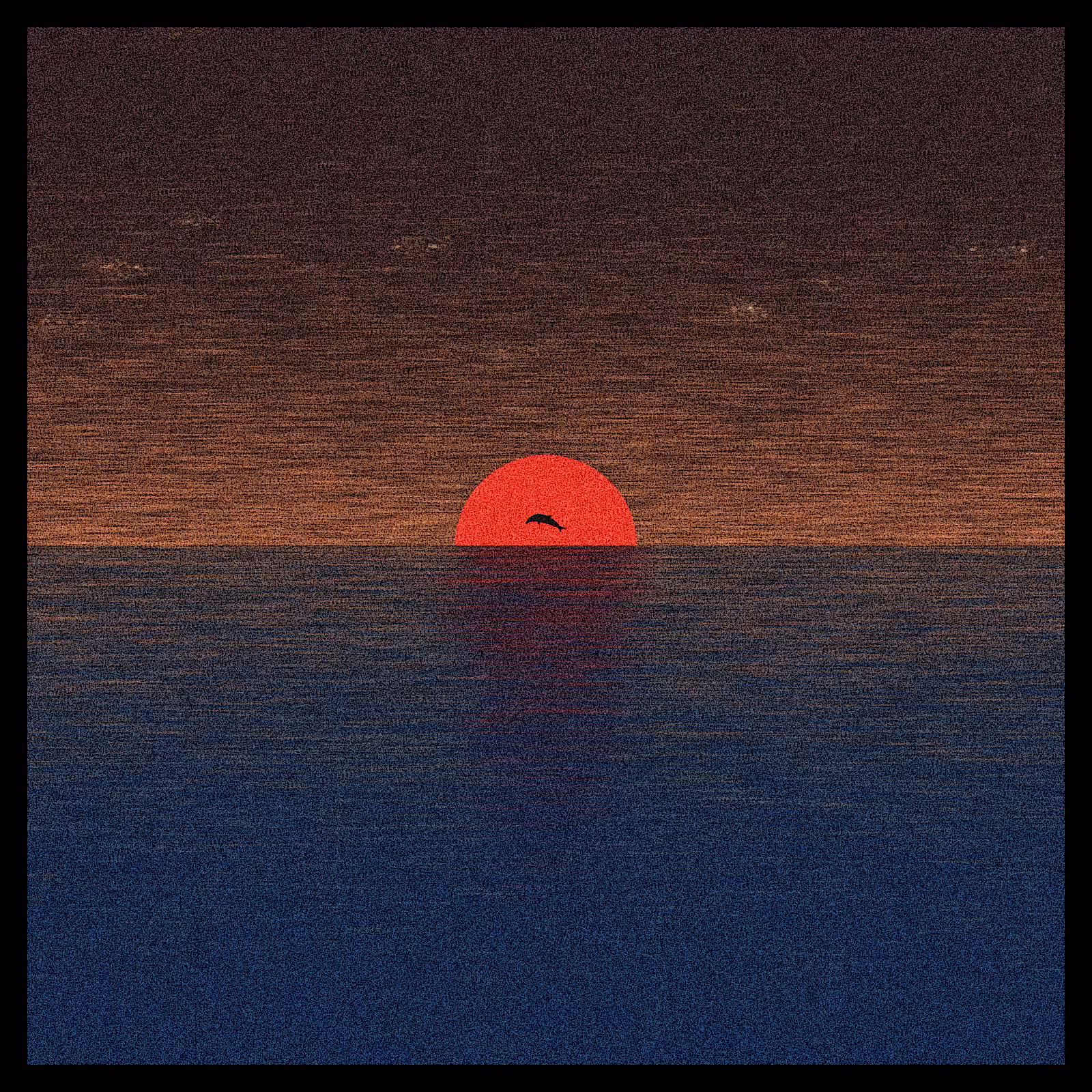 sunrise sunset #19