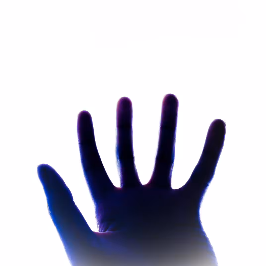DIVINE REACH #1