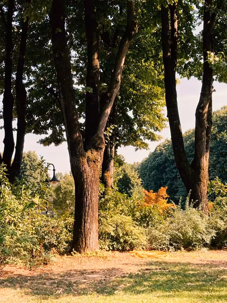 The Sound of Nature