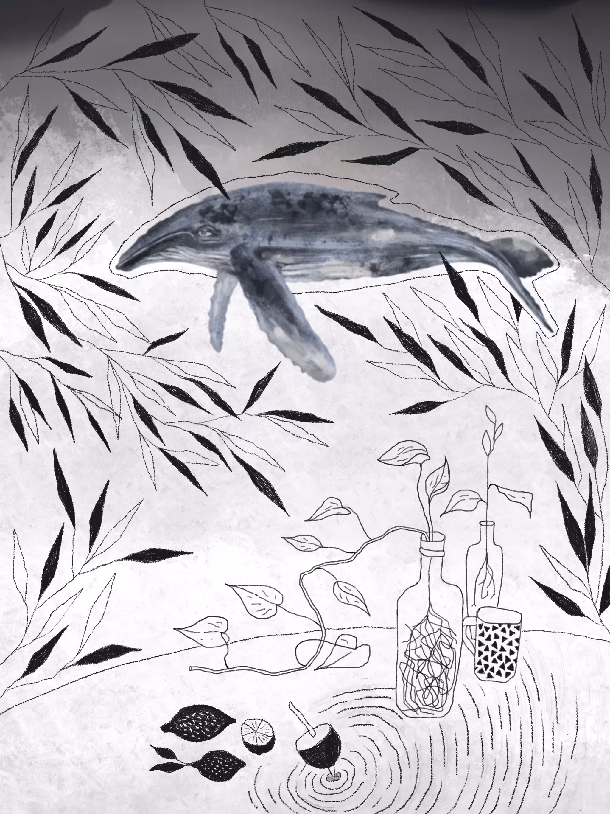 Castaway whale 