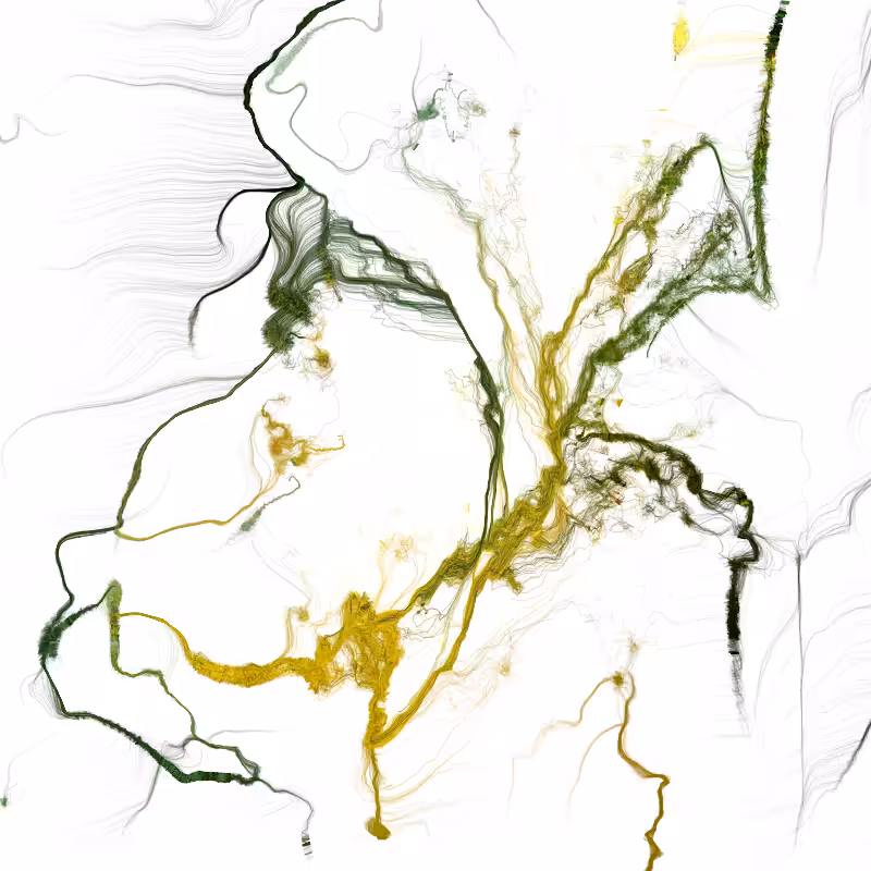 Hypericum #115