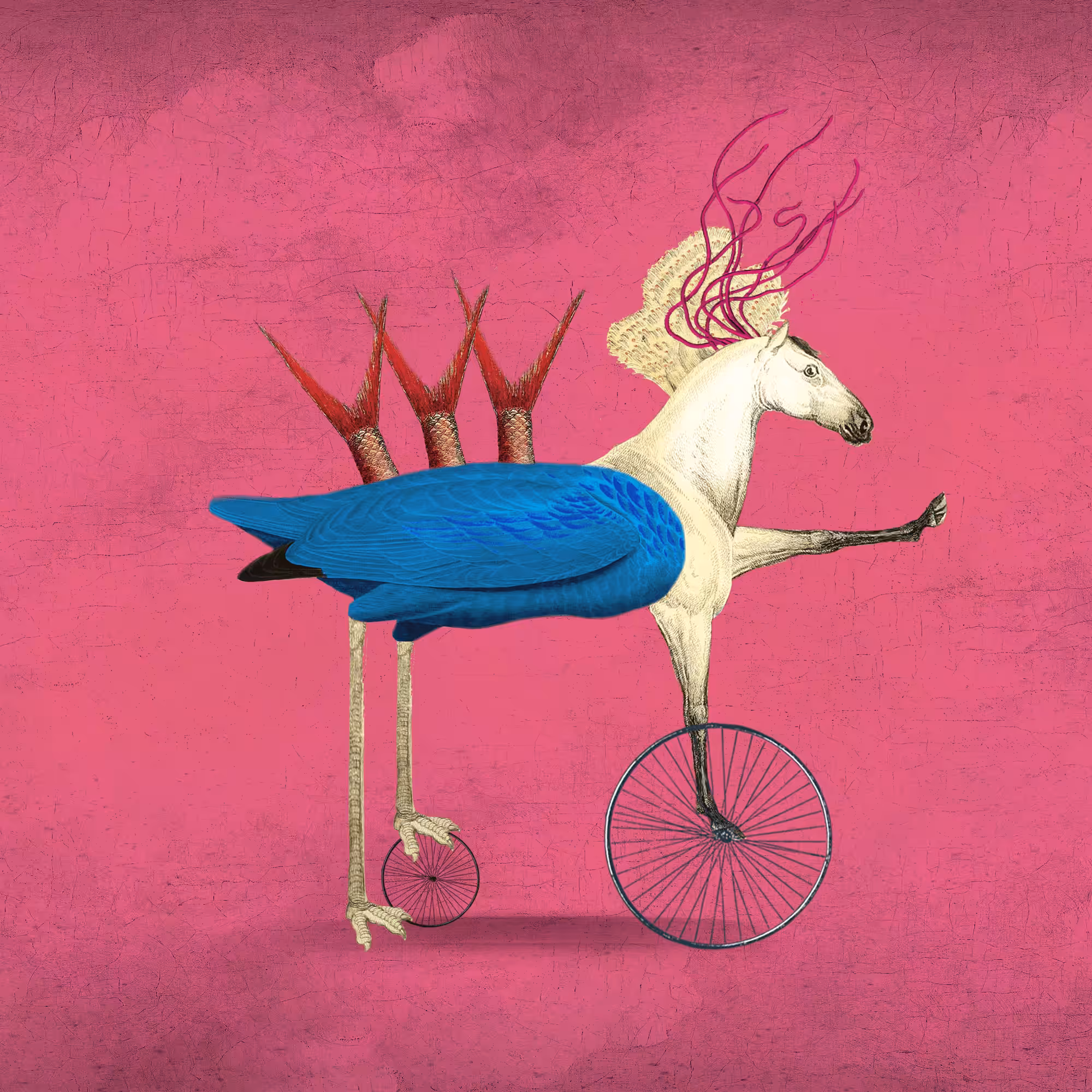 Impossible Creature #164