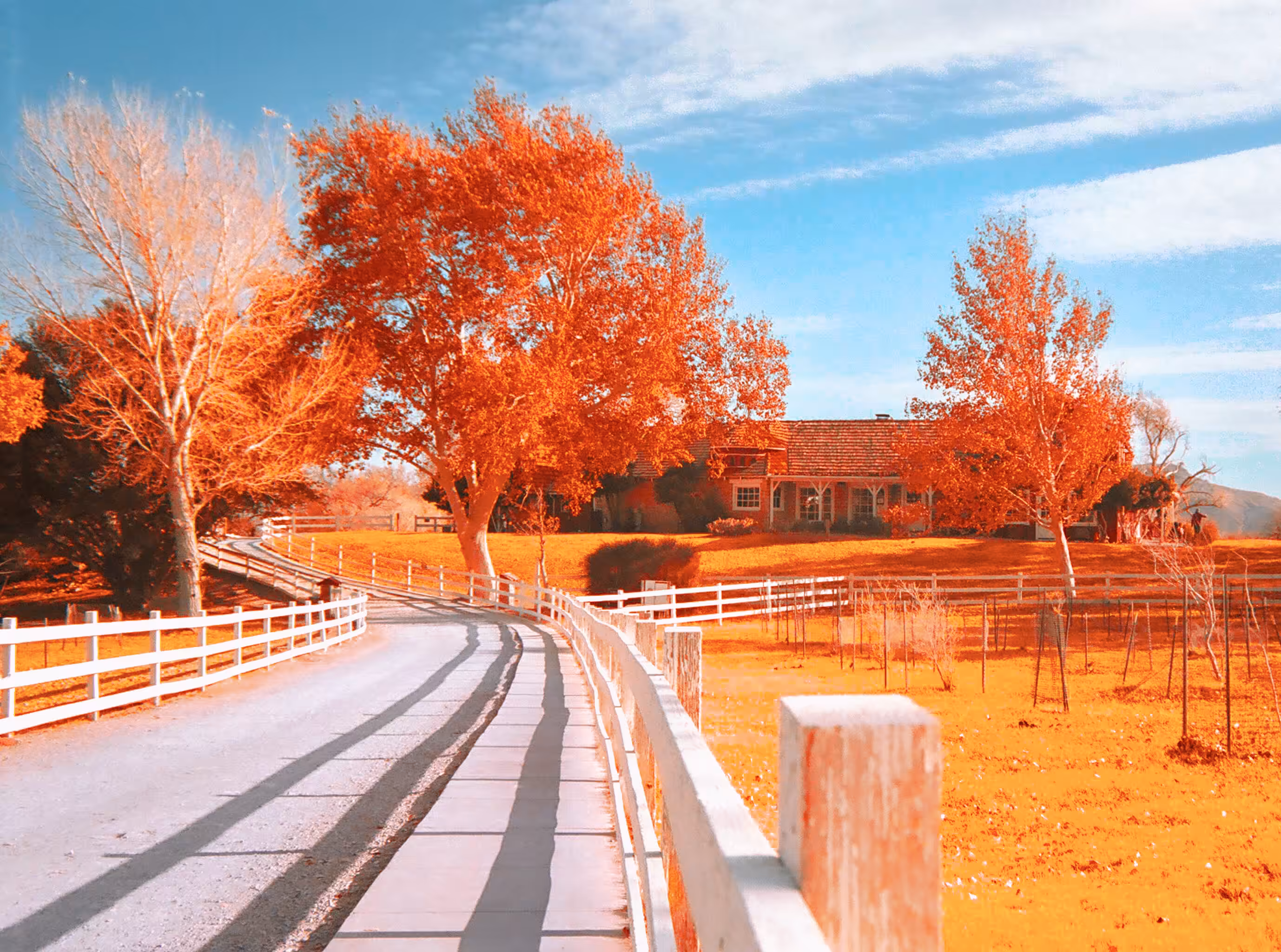 Aunt Sally's Ranch