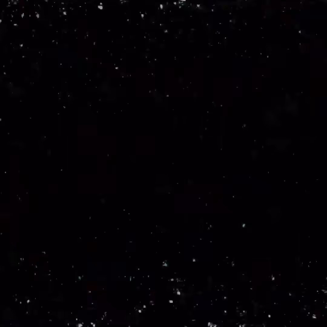 Dinosaurs #04