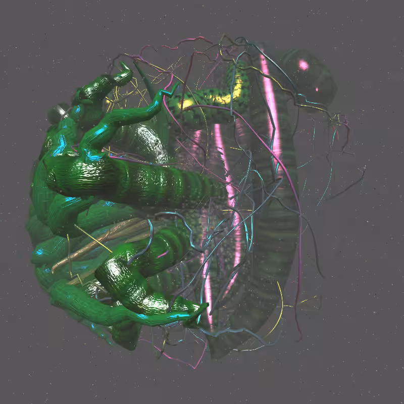 Glomularus #7