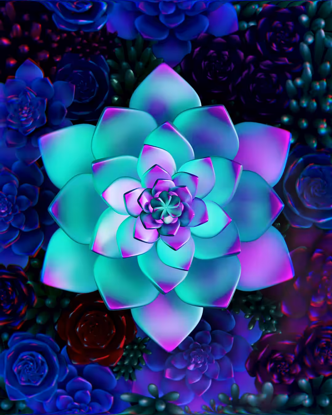 rose whip