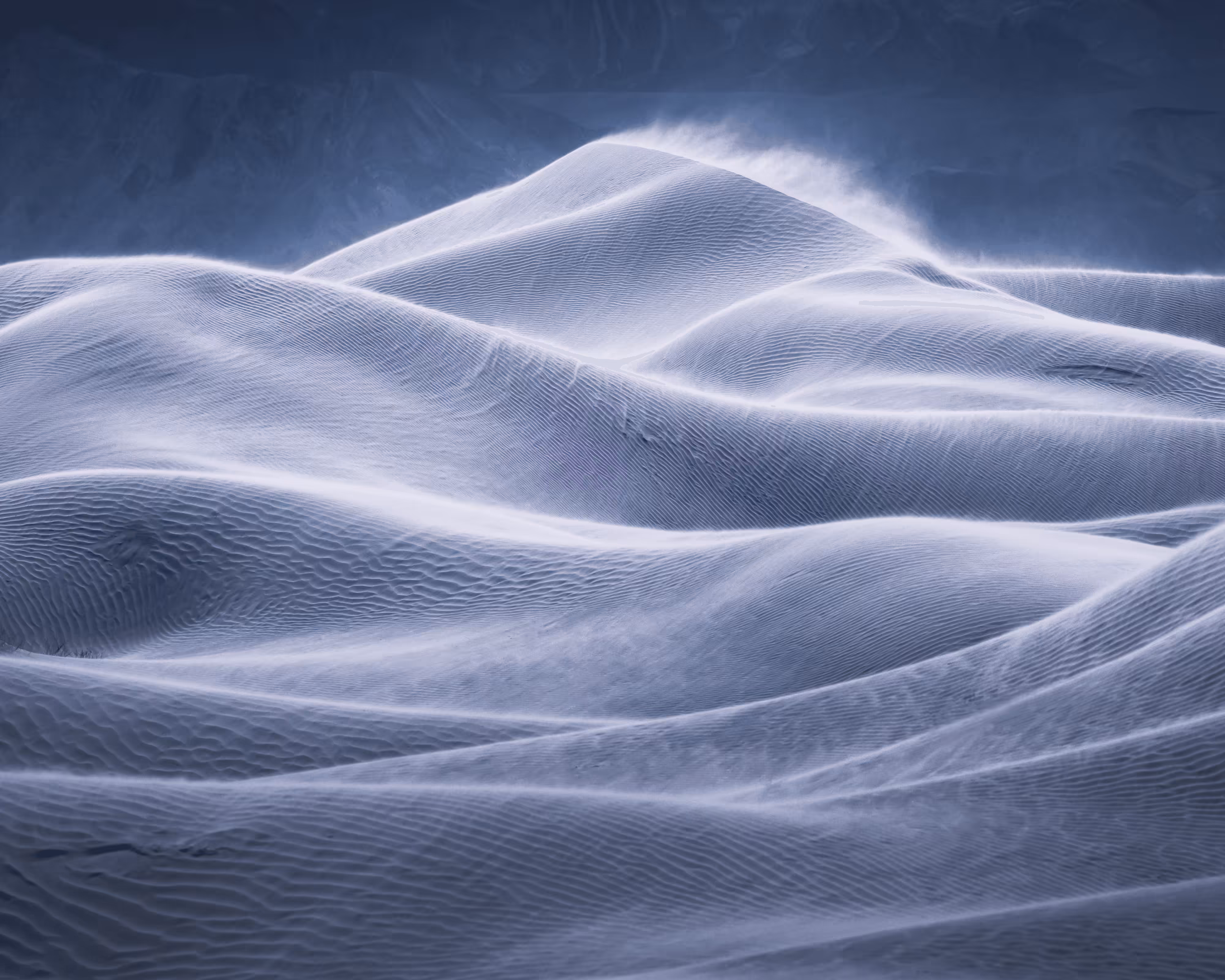 Michael Shainblum Editions