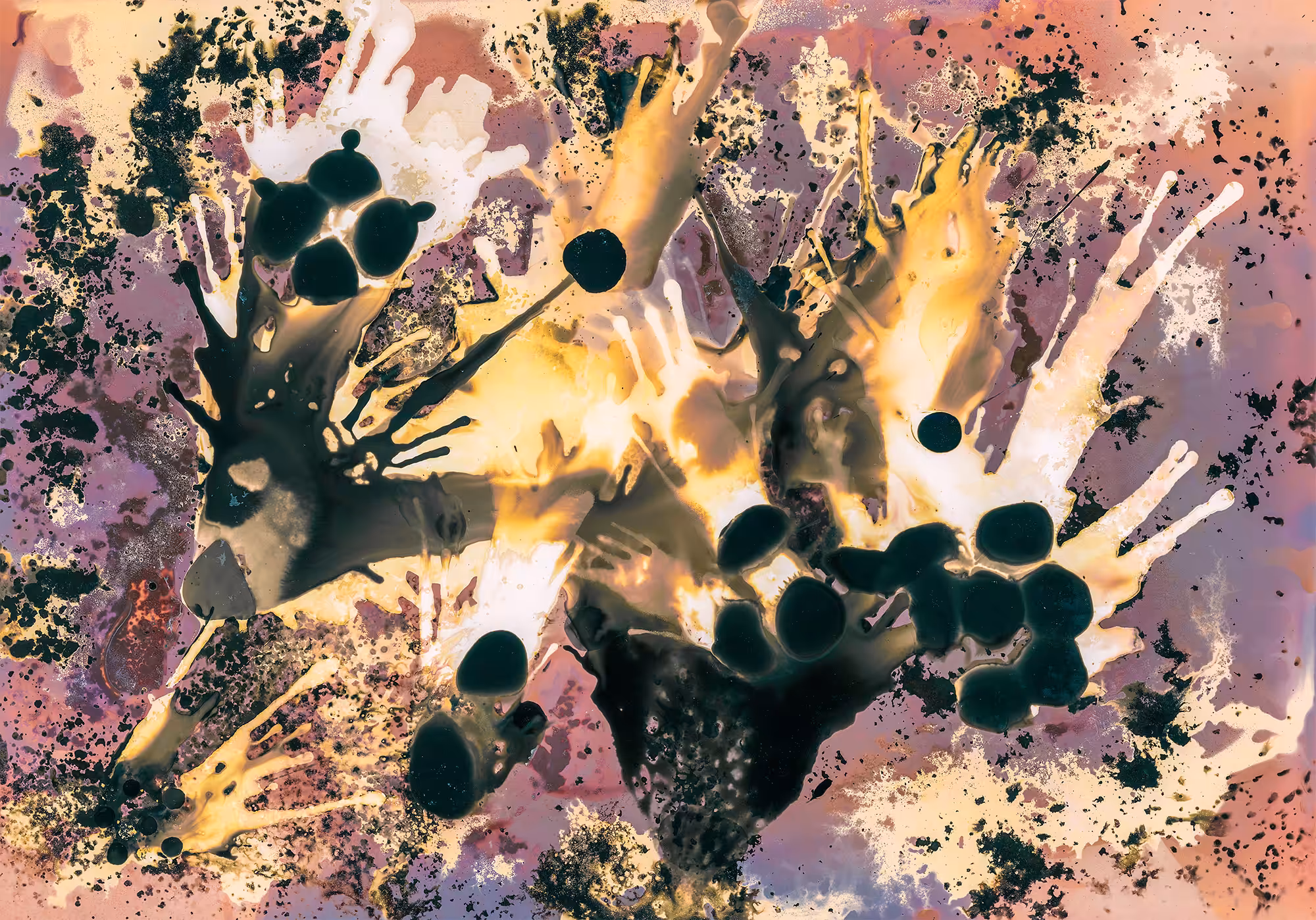 Untitled Chemigram I