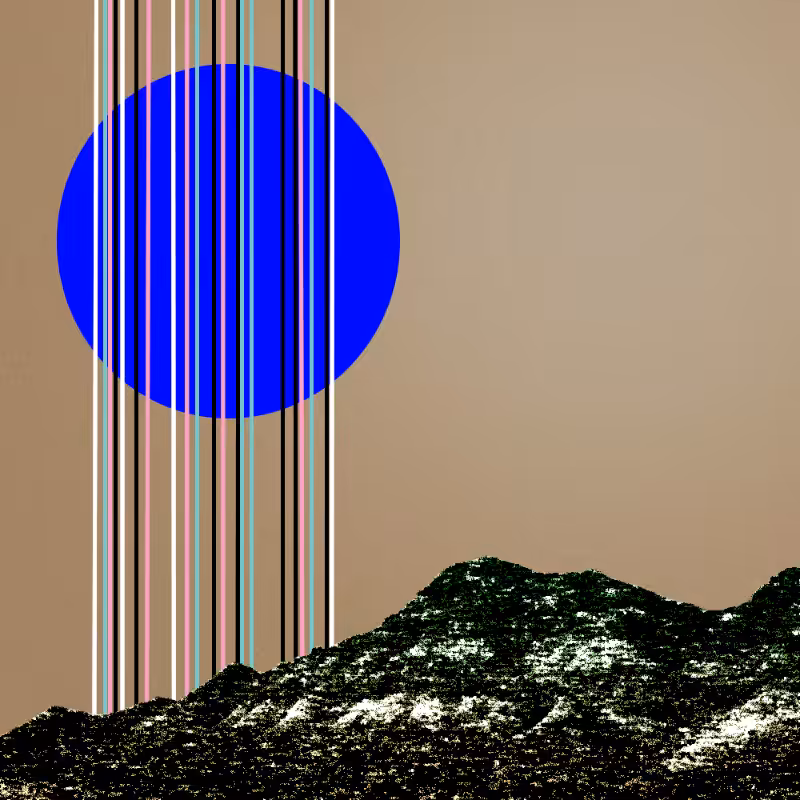collage #1  from nature #10