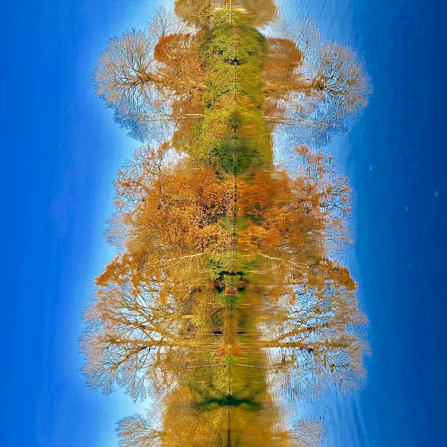 Trees, Blue Sky & Water...