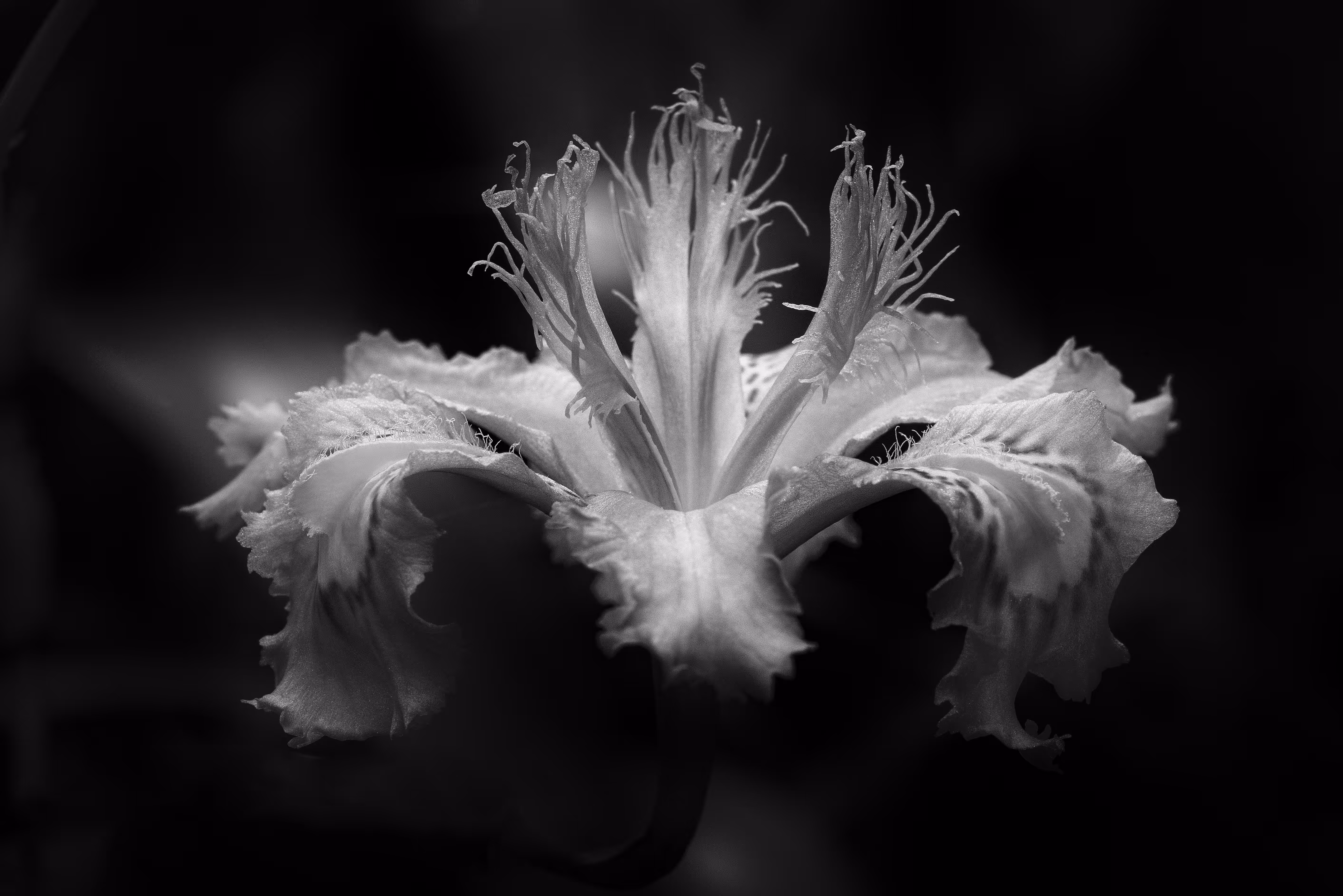 Unfolding