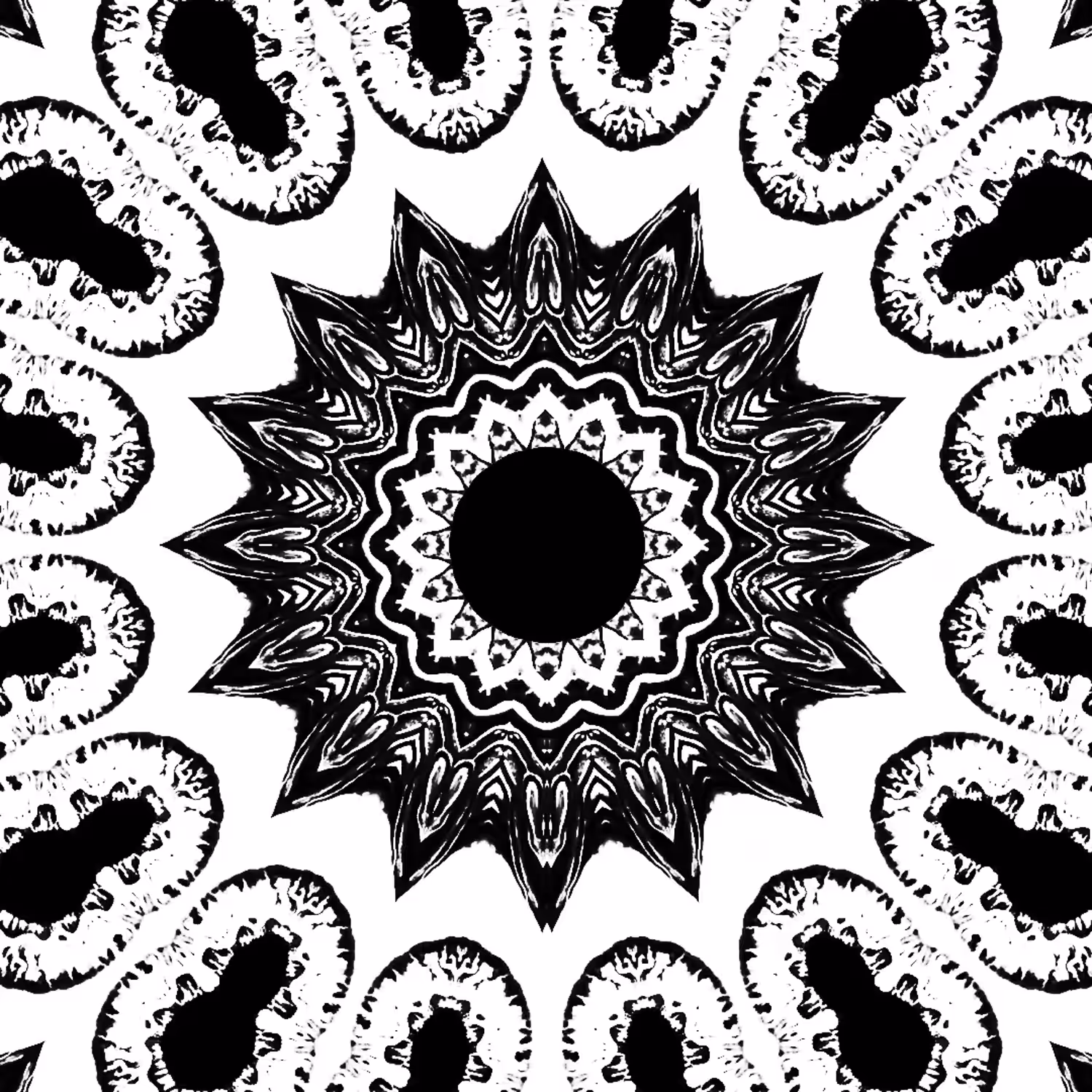 Black & White #004