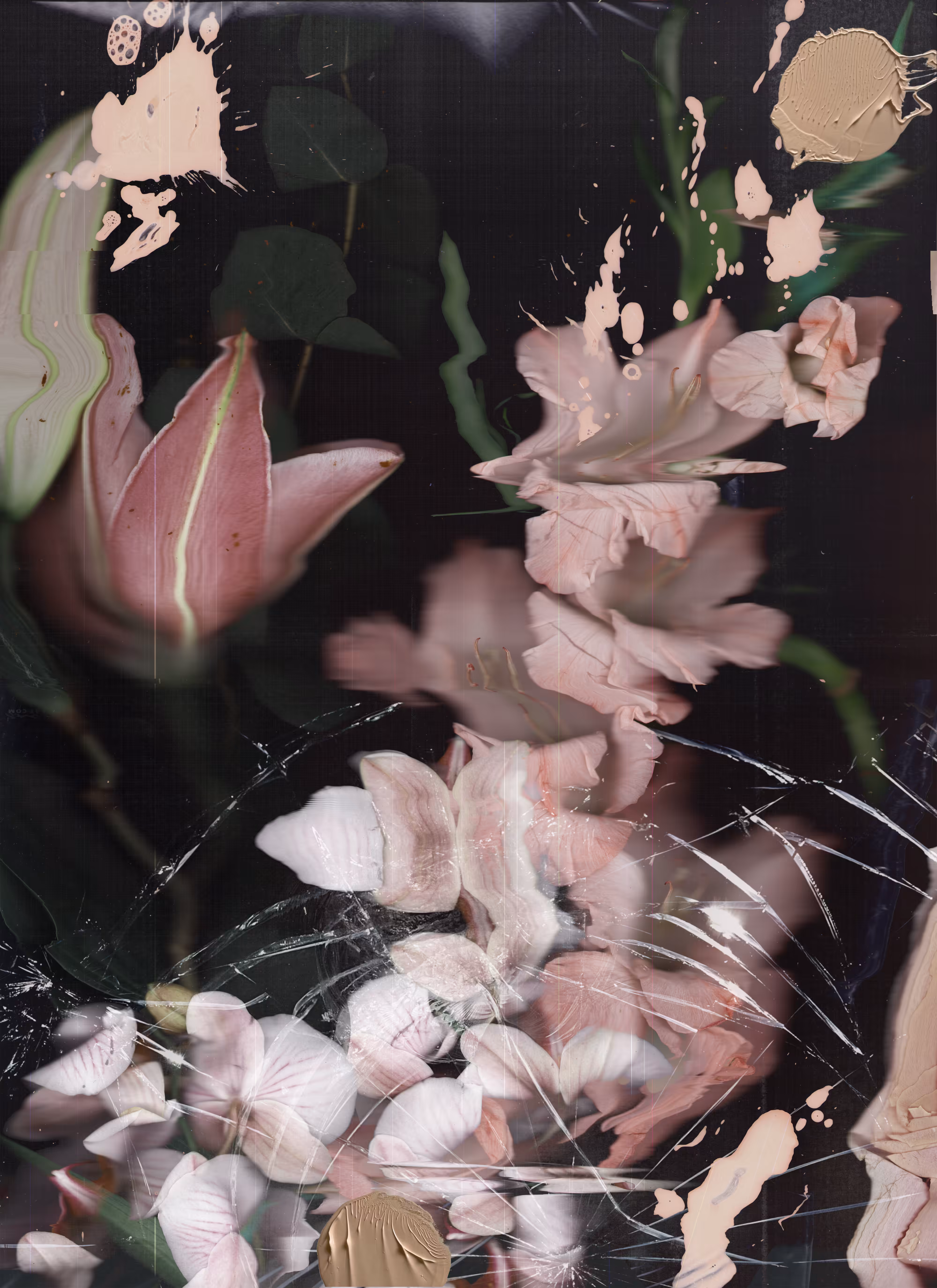 Broken Flowers from Don Johnston 1