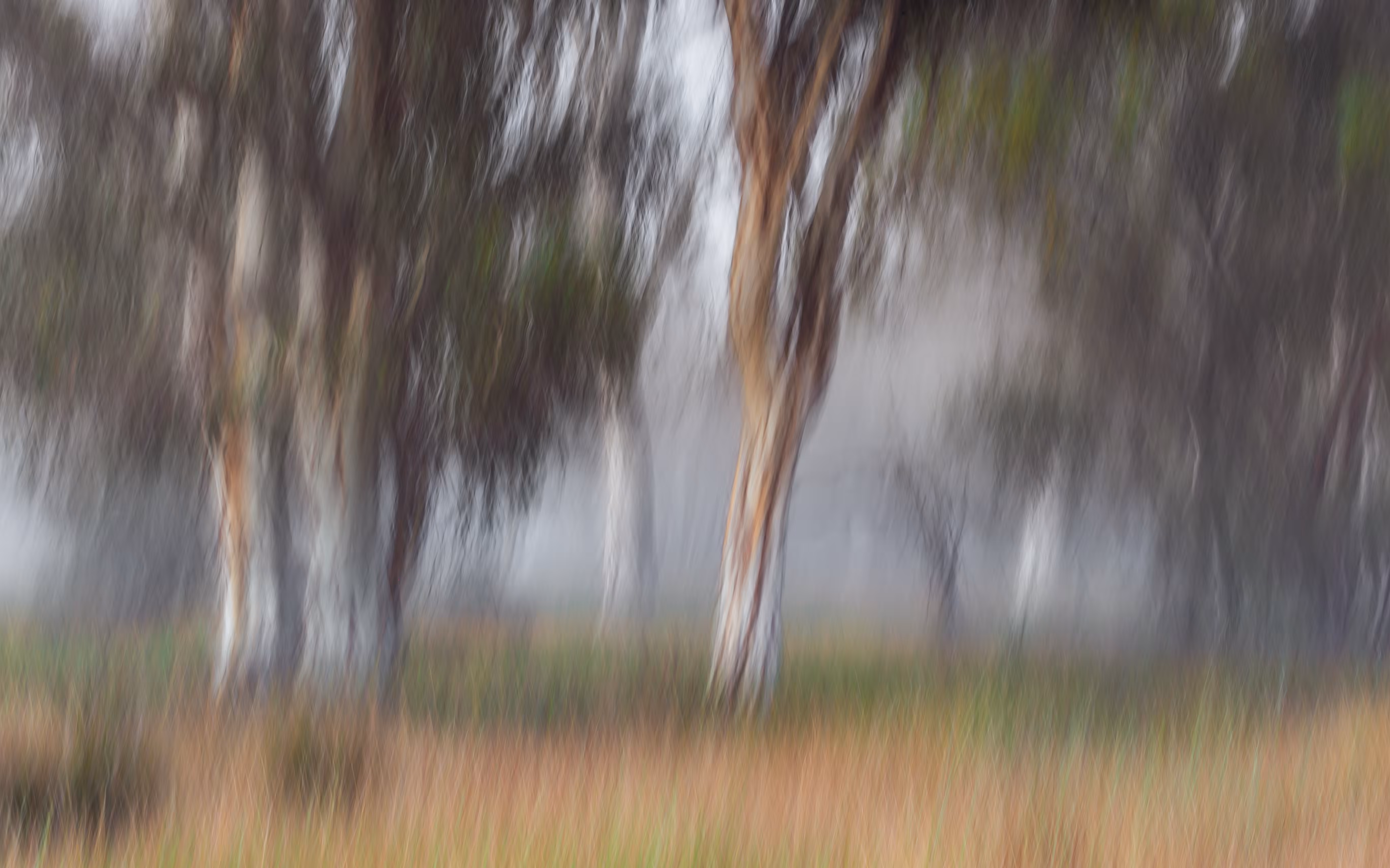 9. September - Peaceful Morn