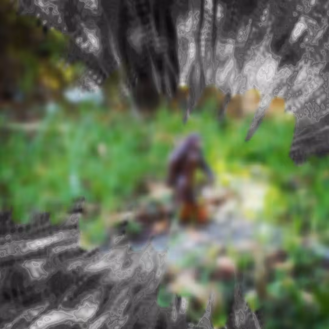 Bigfoot Shrinks