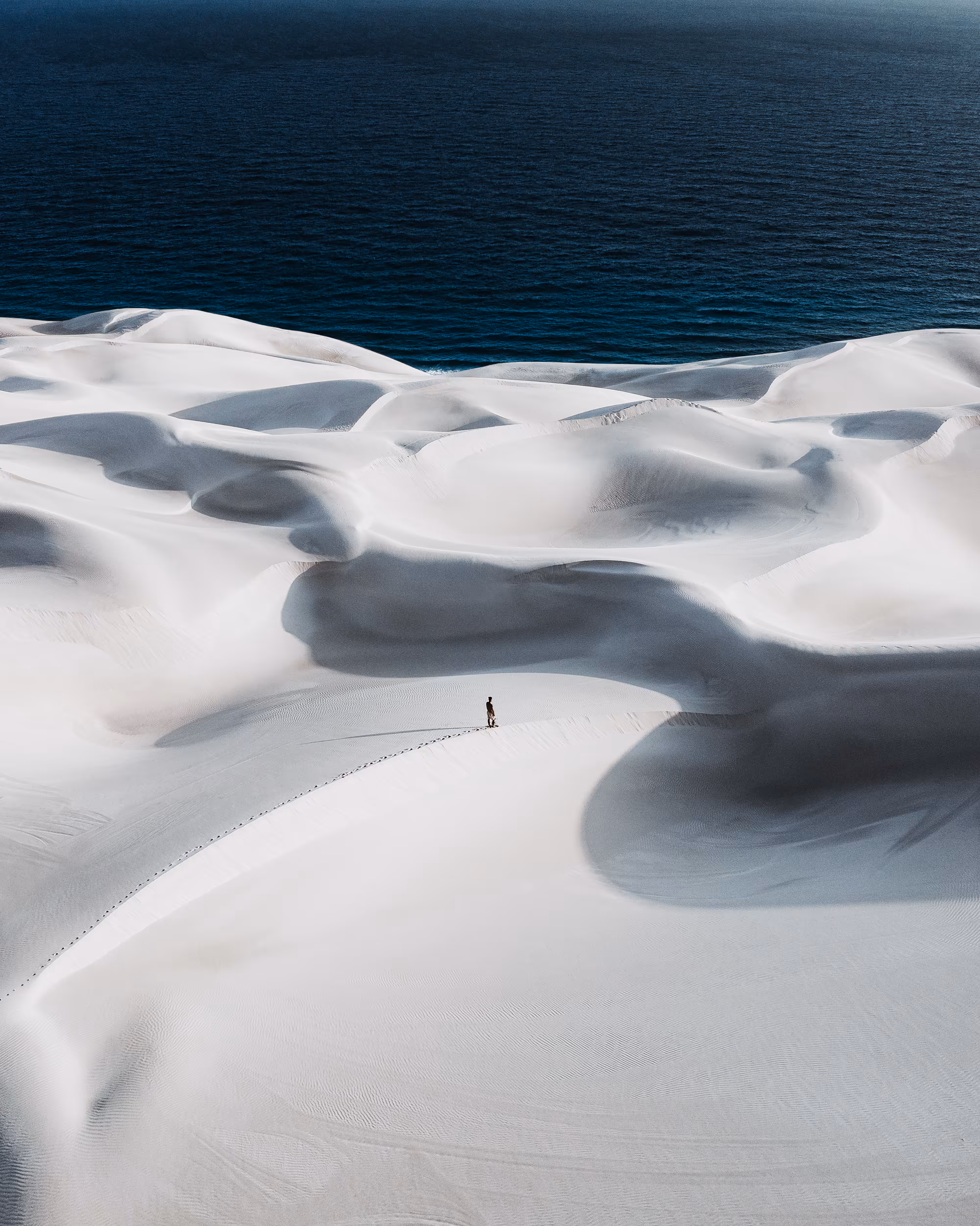 Socotra 