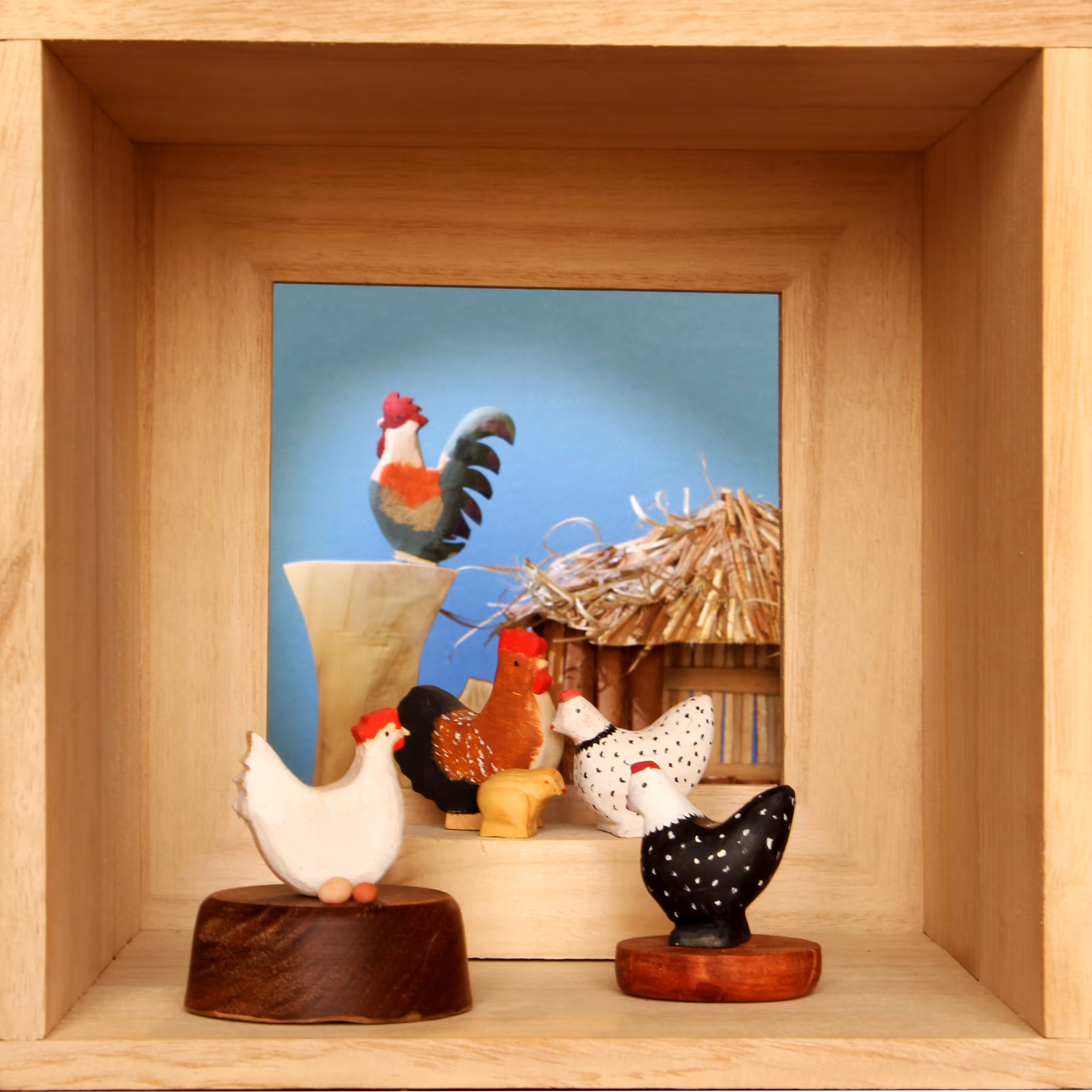 chick chicks 005