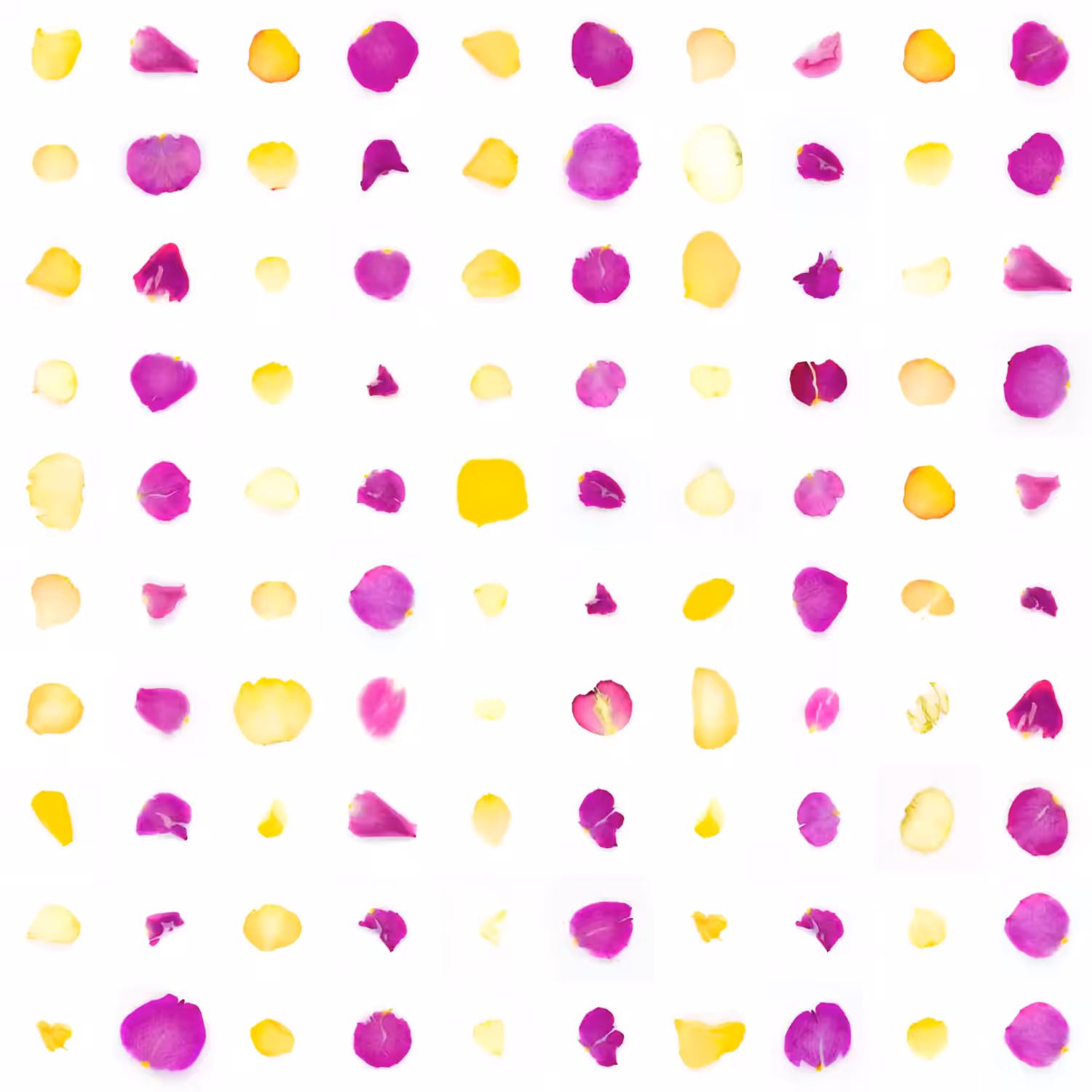 Infinite Petals 10x10#2775