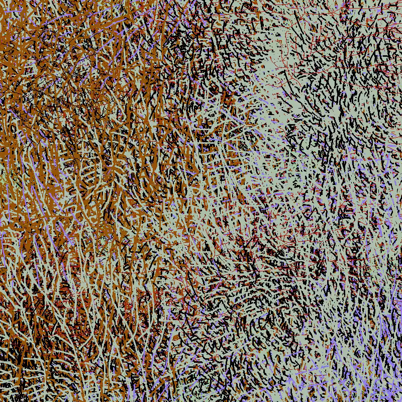 a bird worked on my painting #40