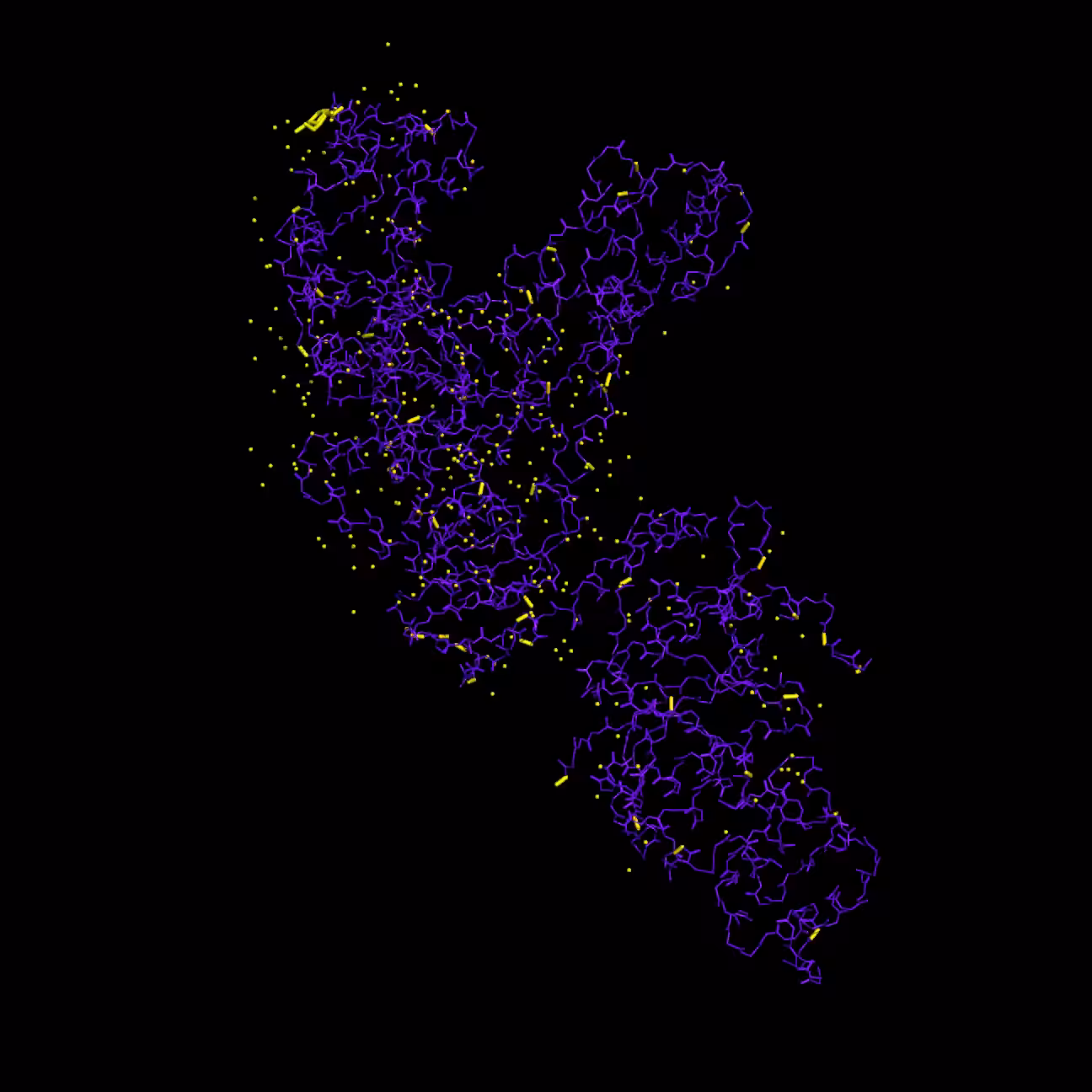 Prime Time – Taq polymerase firefly