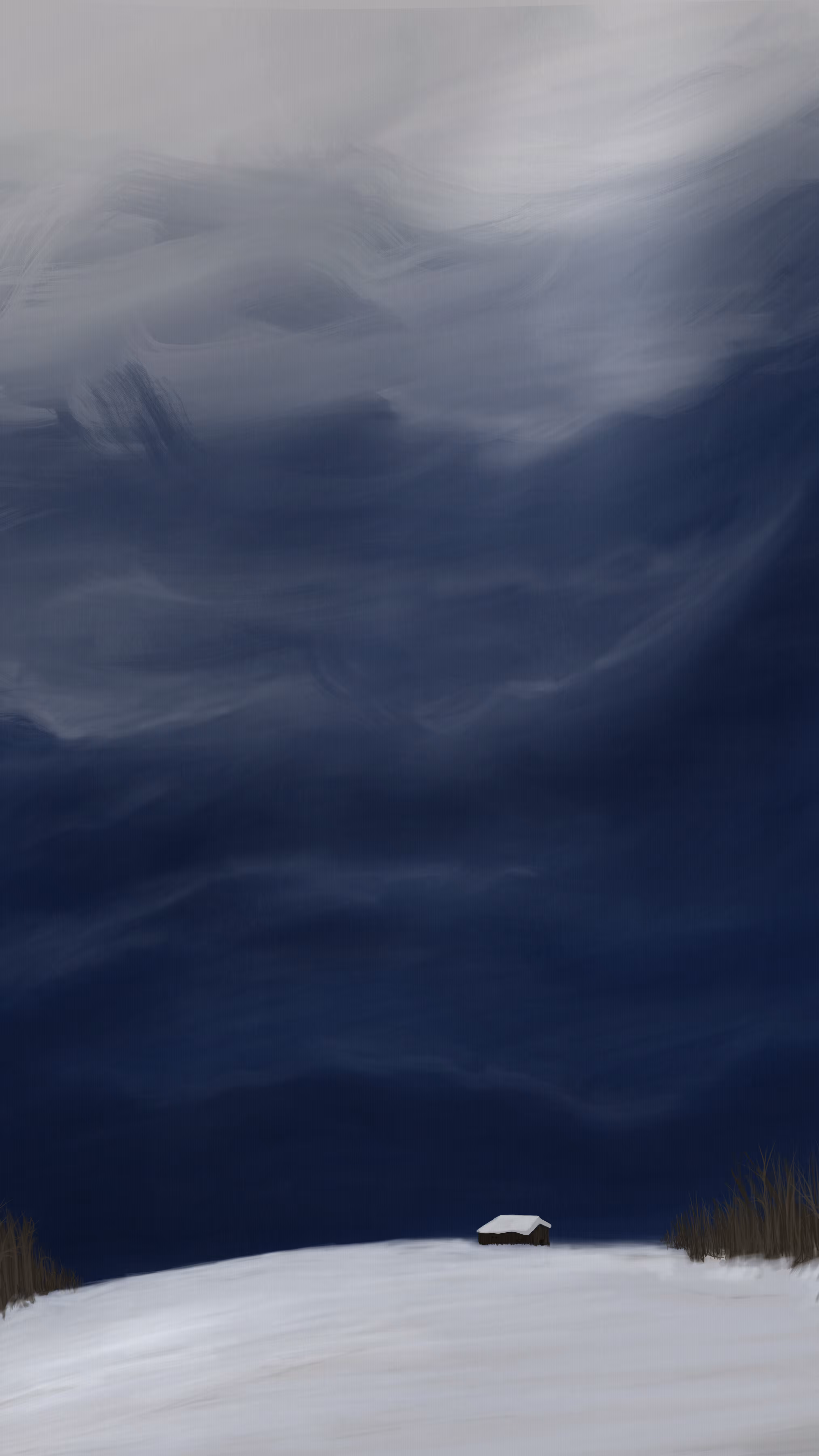 Life Impression 48