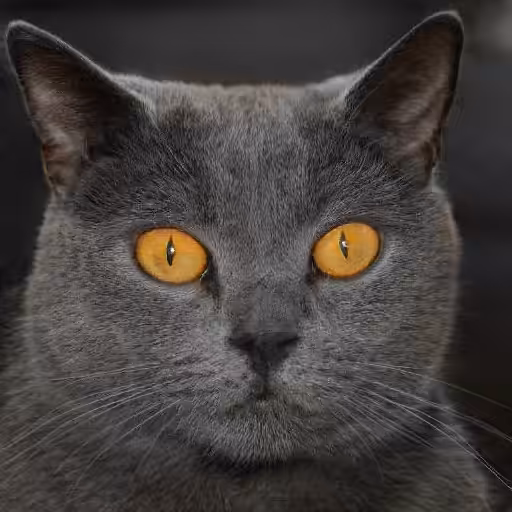 Sam