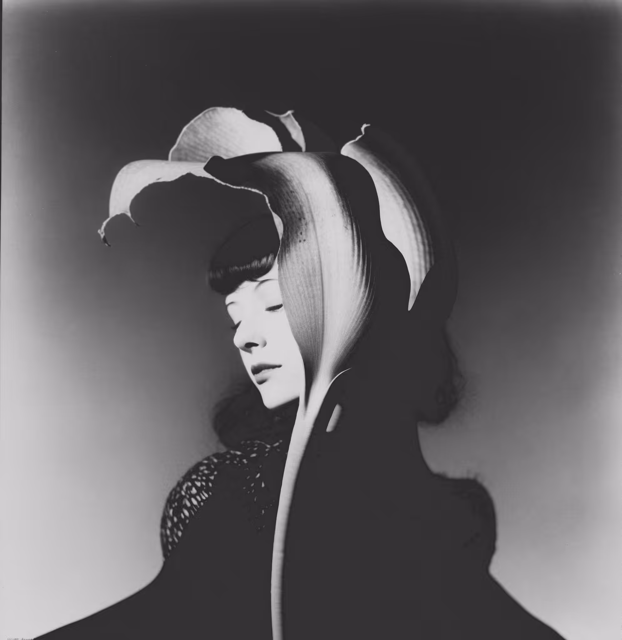 Botany: a photographic retrospective: Unknown (extinct), Silver Gelatin Print (developing-out-process, solarization), 1932