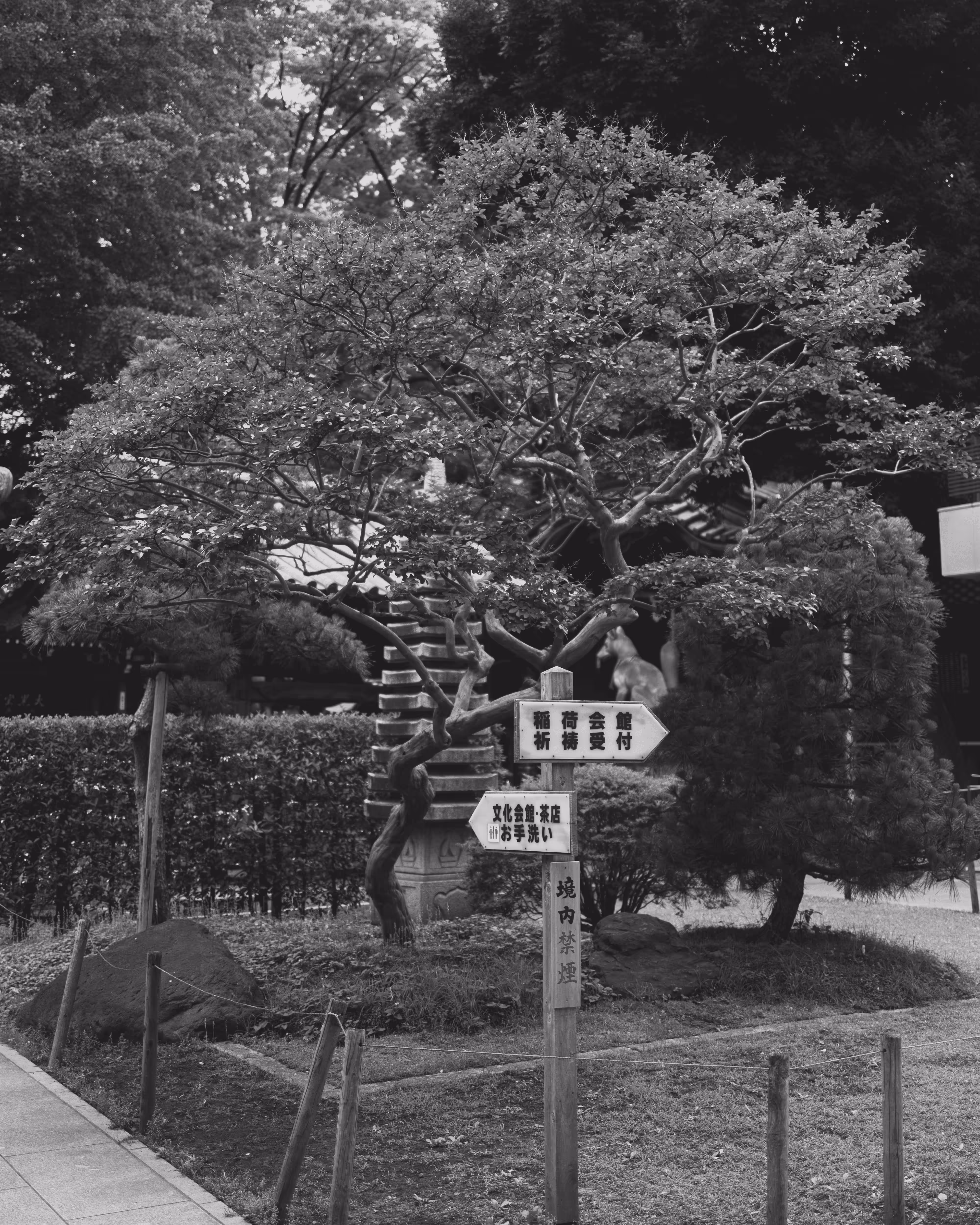 Tokyo: A Love Story #18