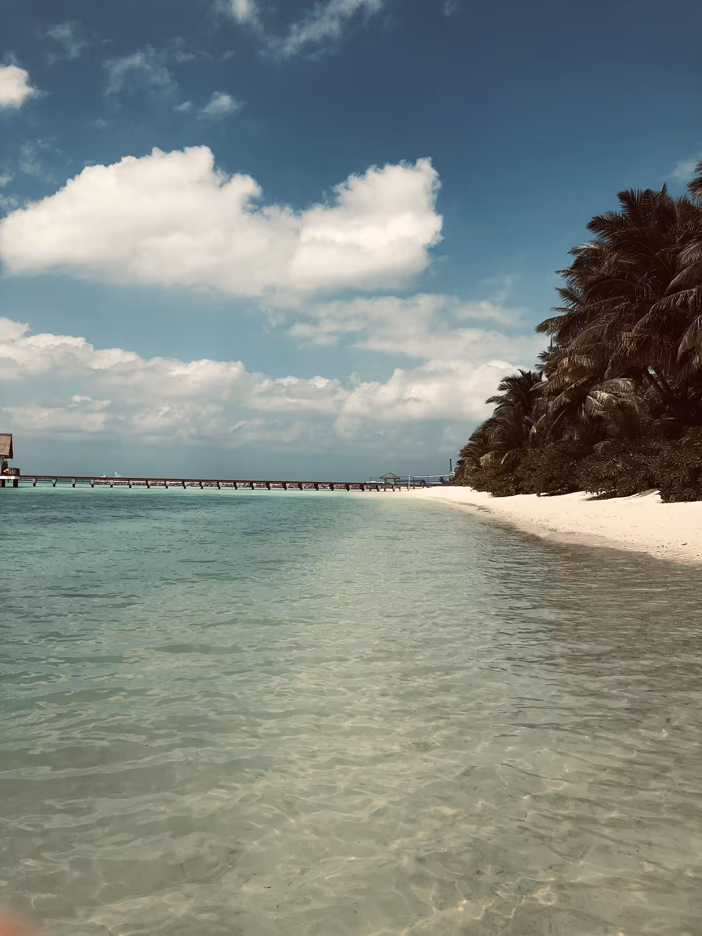 The Beach