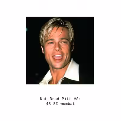 Not Brad Pitt #8: wombat