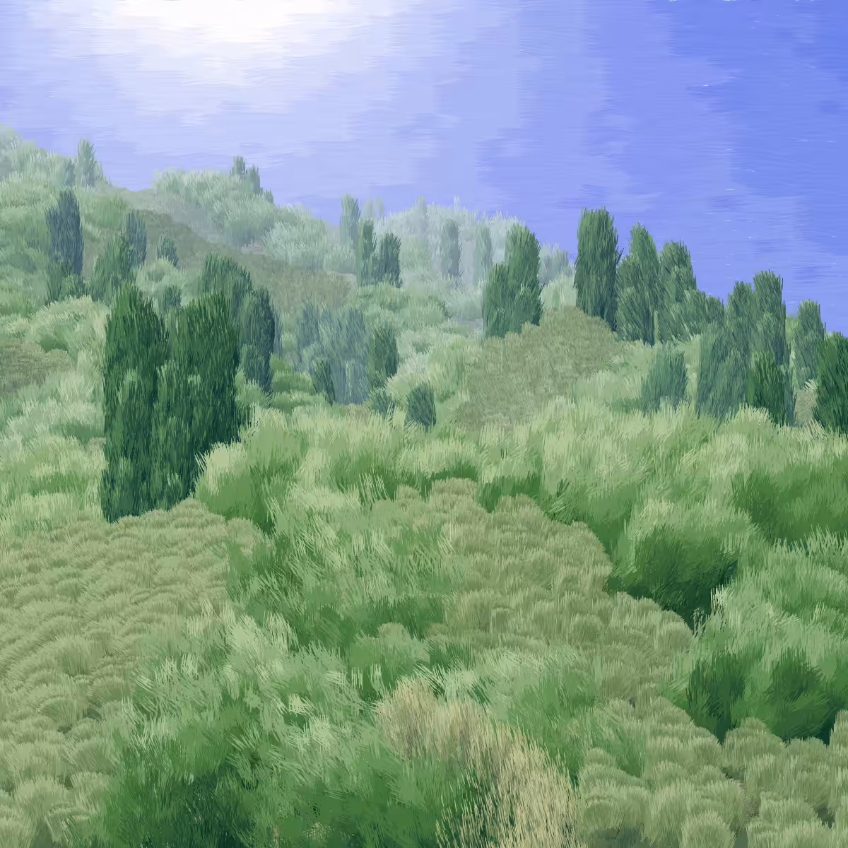 Provence #121