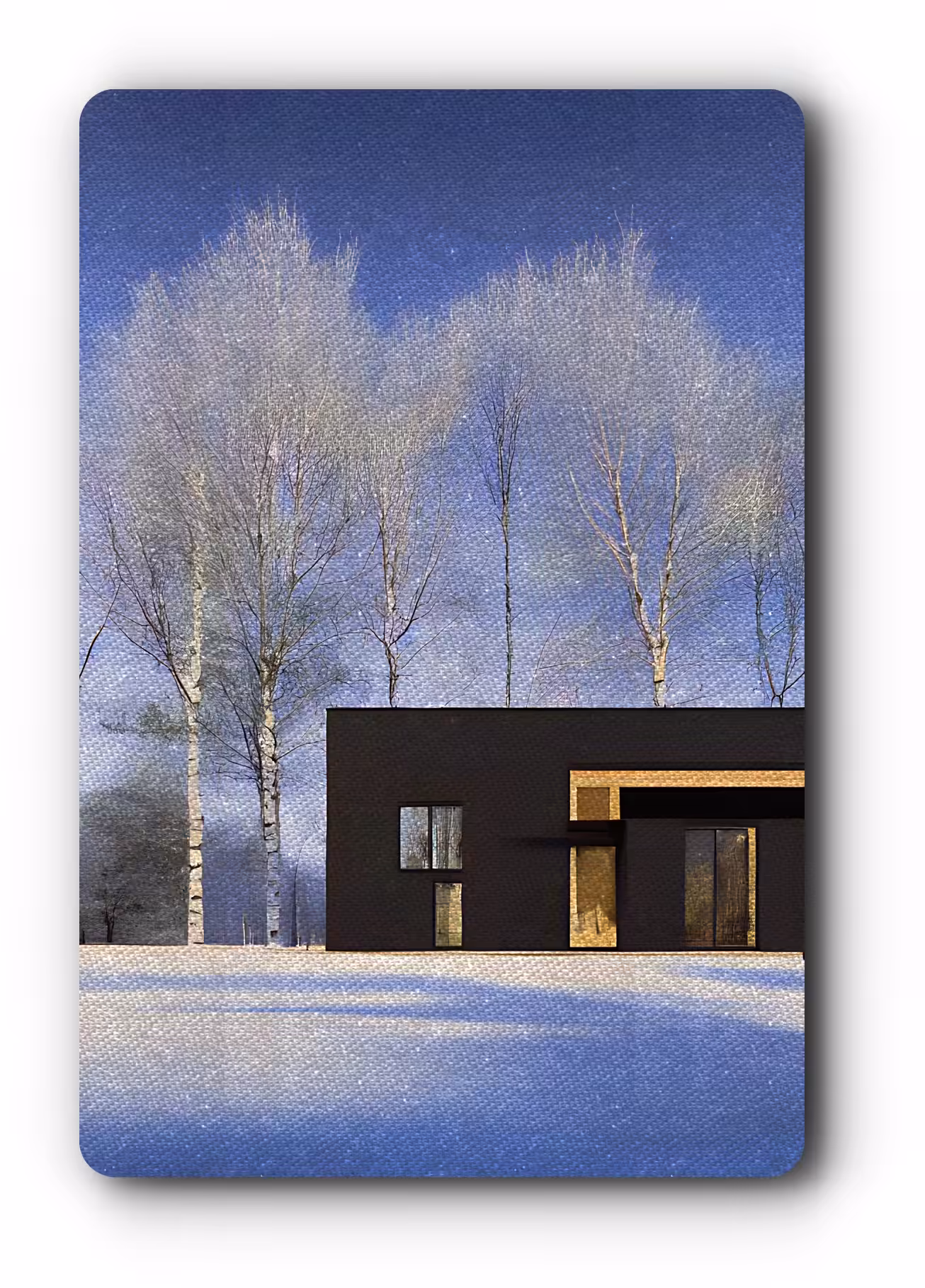 Mountain Forest House