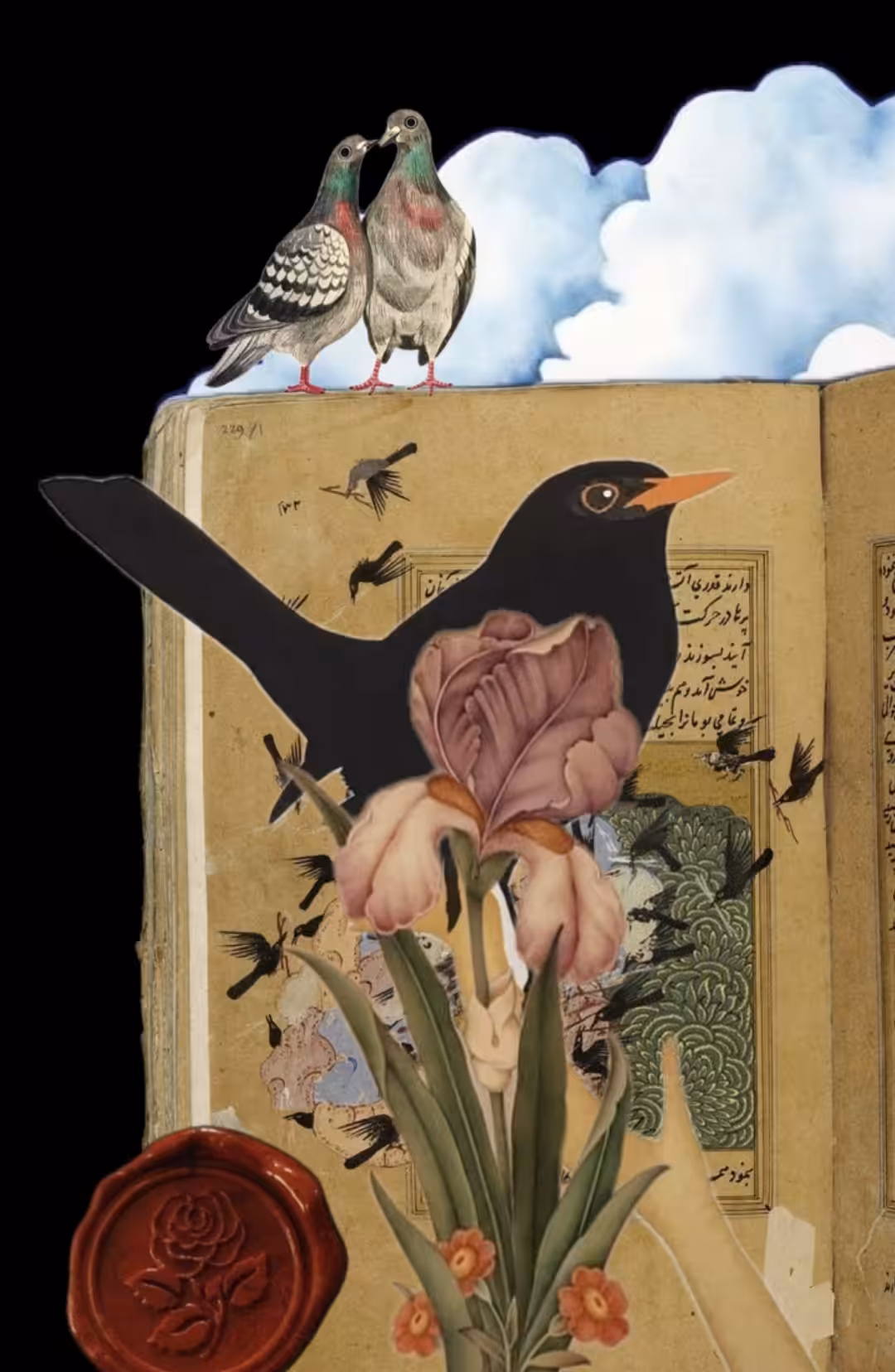 Poem and Birds