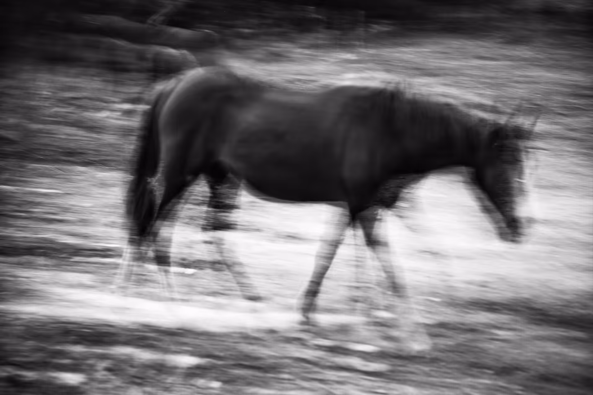 time series #06
