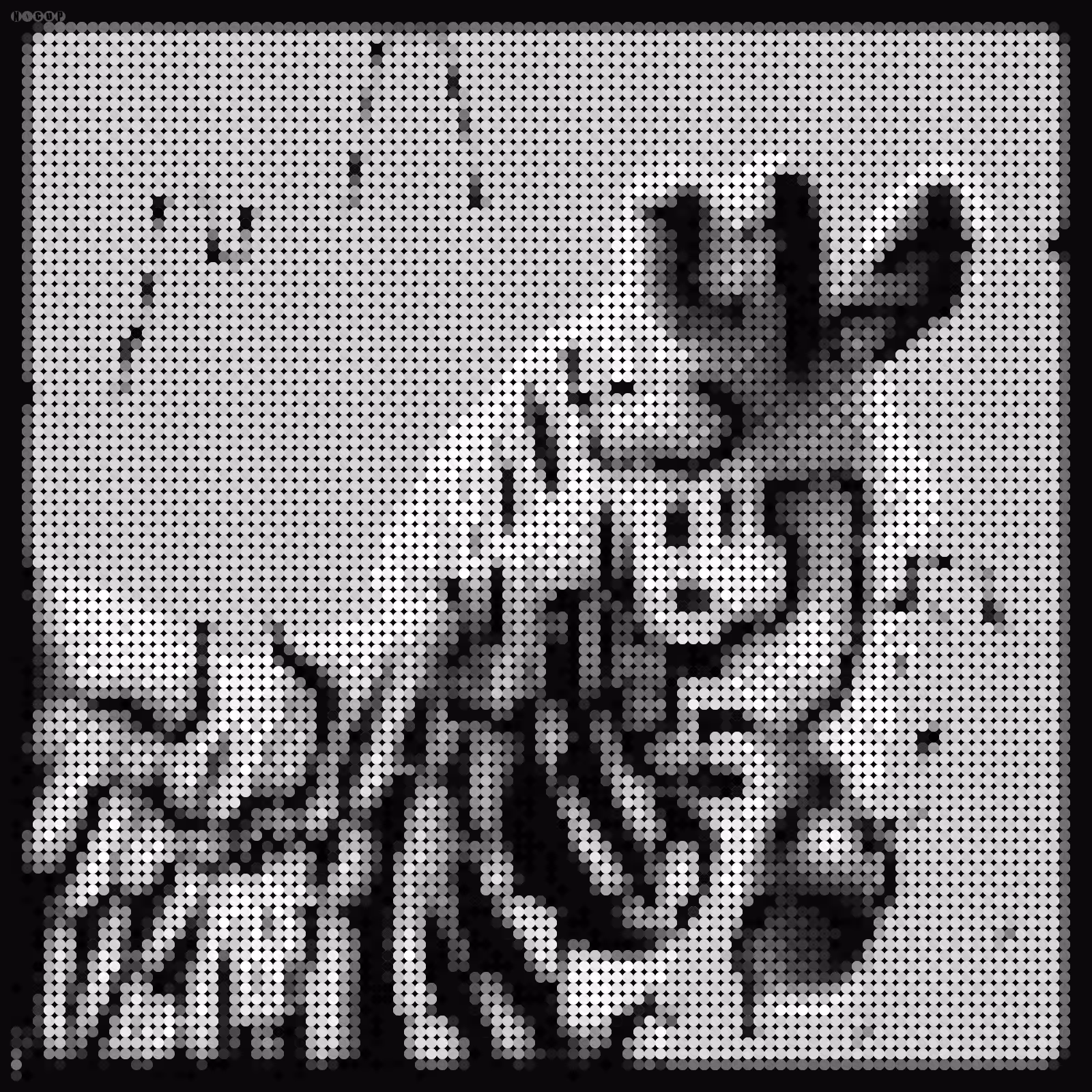 Zebra 1