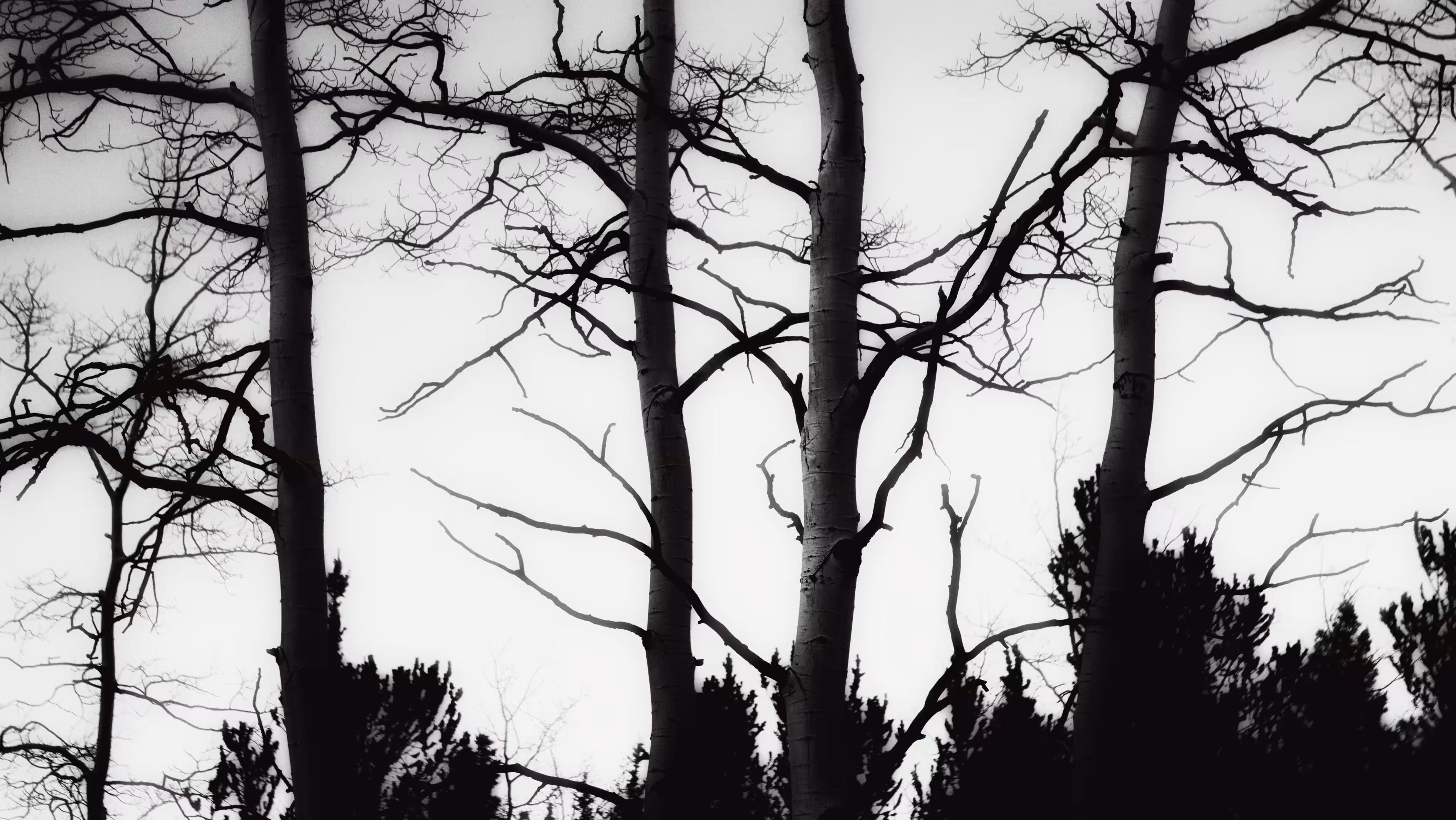 Stillness