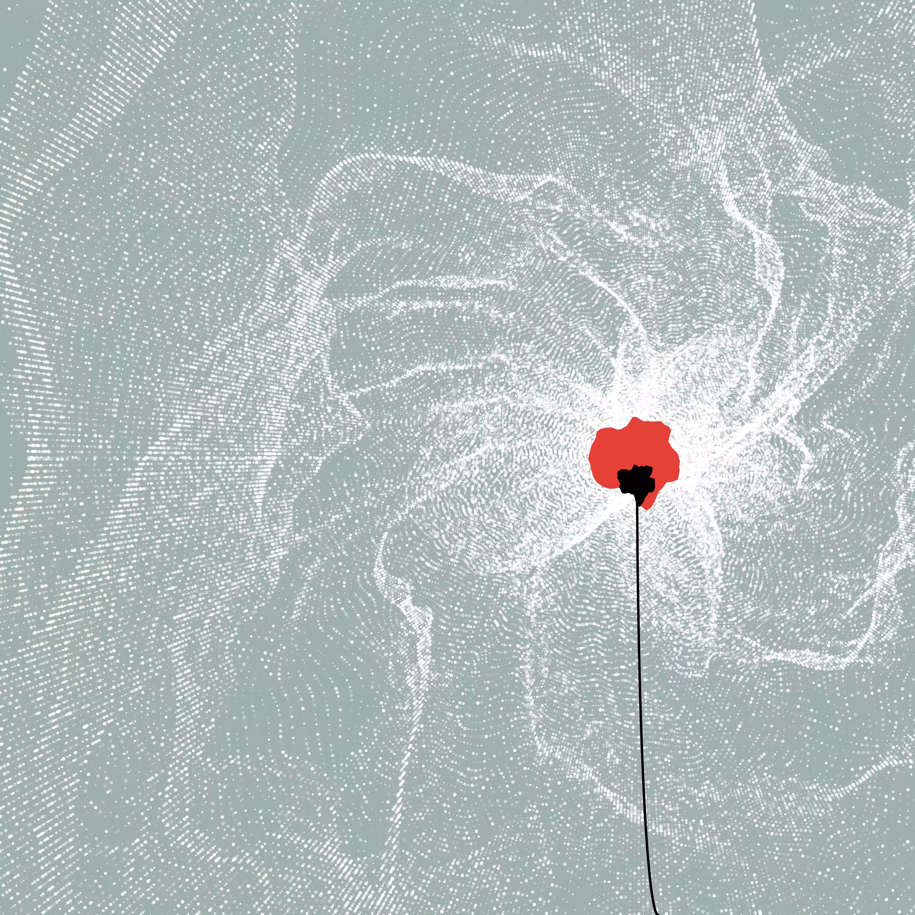 Rodeo posts: Red Poppy