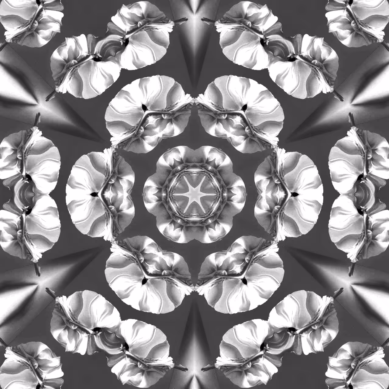 Orchid 2