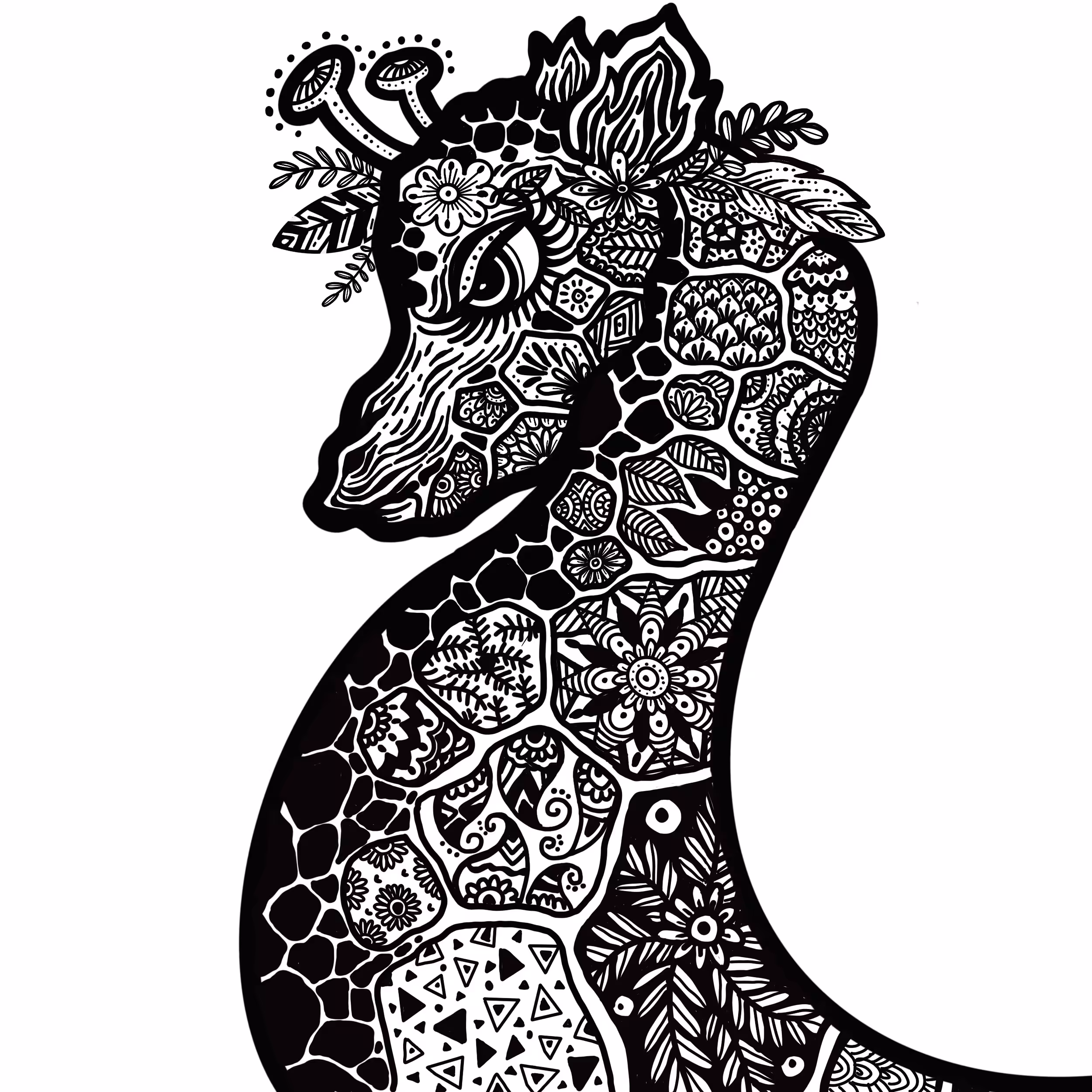 Animal
