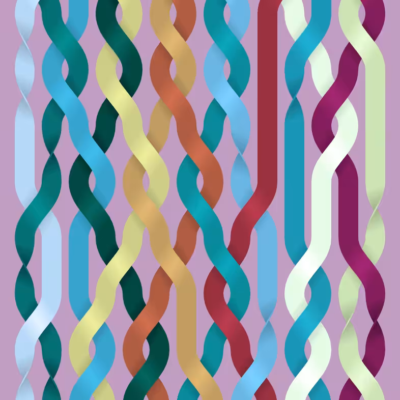 Endless Braids #11