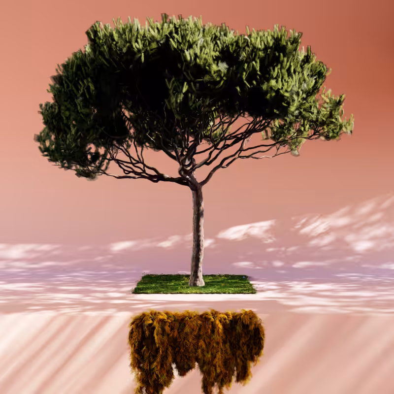 Nature rooms #2