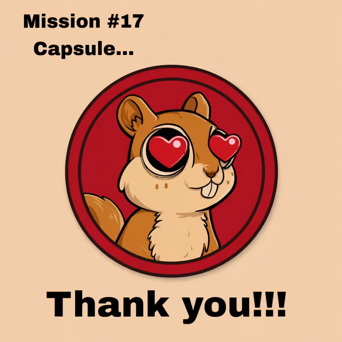 Mission #17