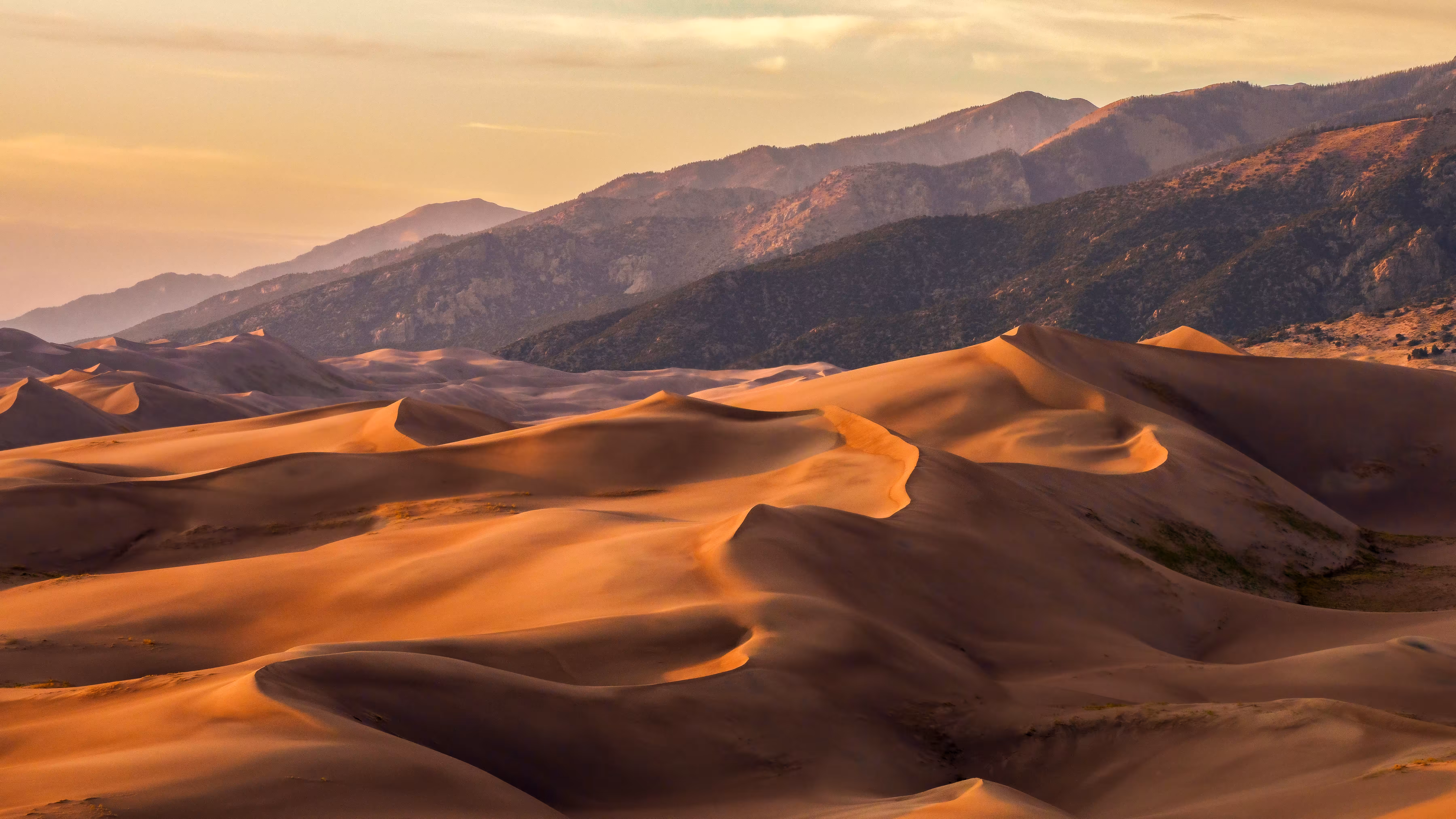 Dunes Day