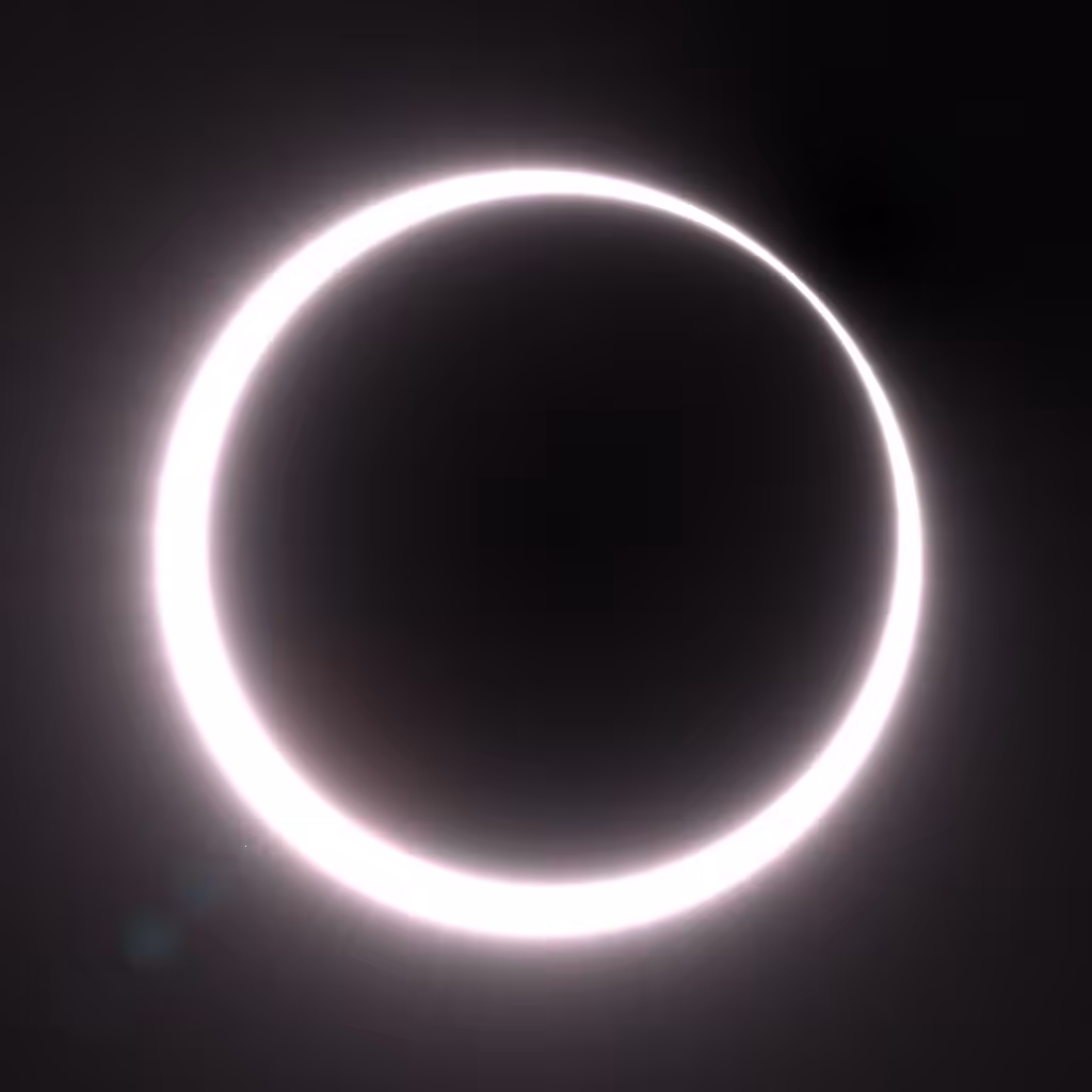 Totality #187