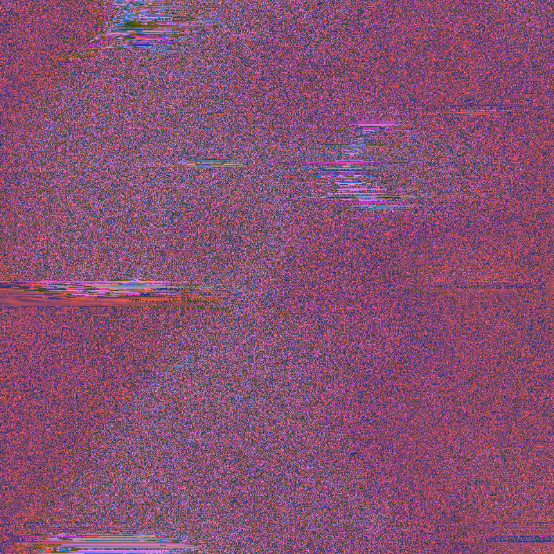 birds #3