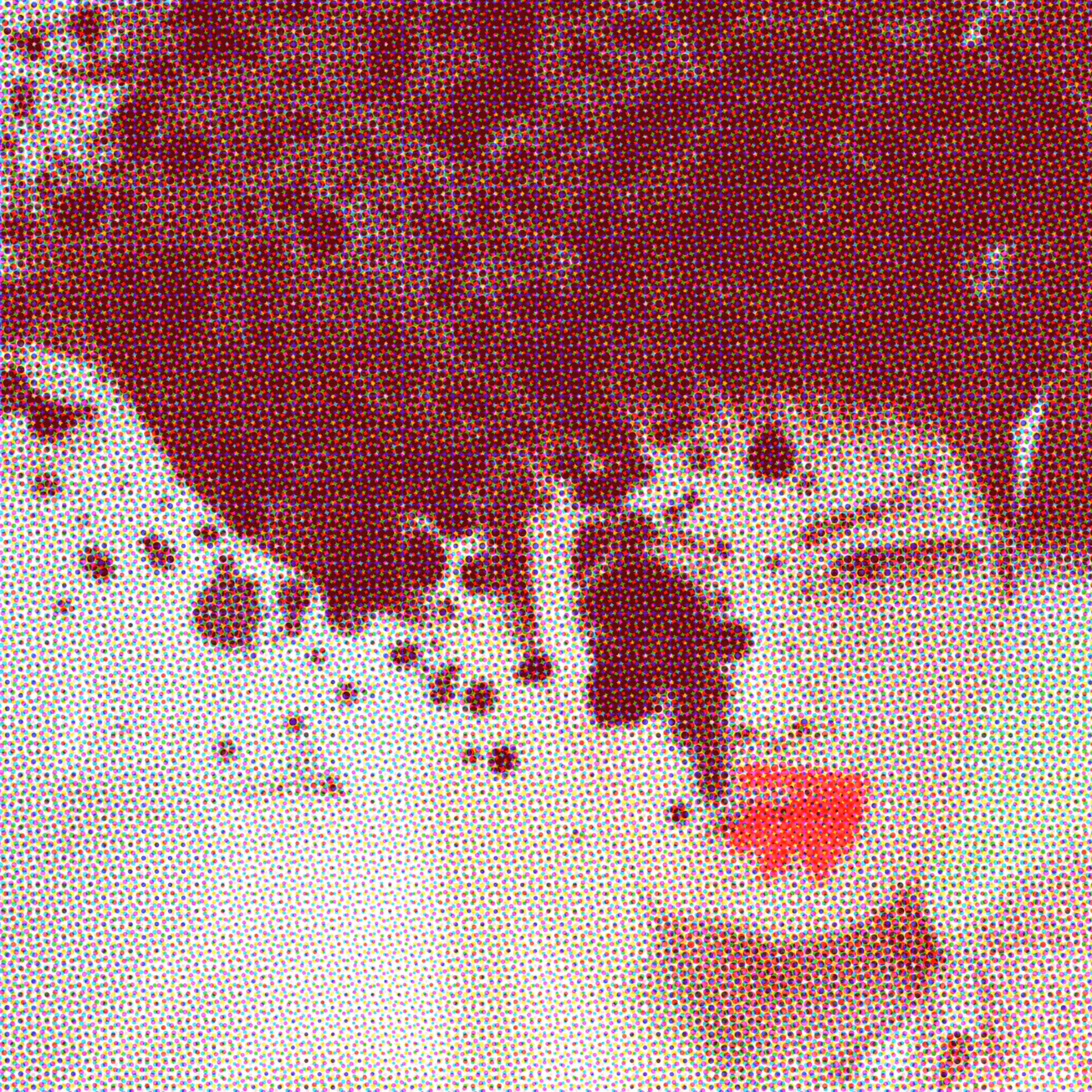GEISHA GLIMPSE