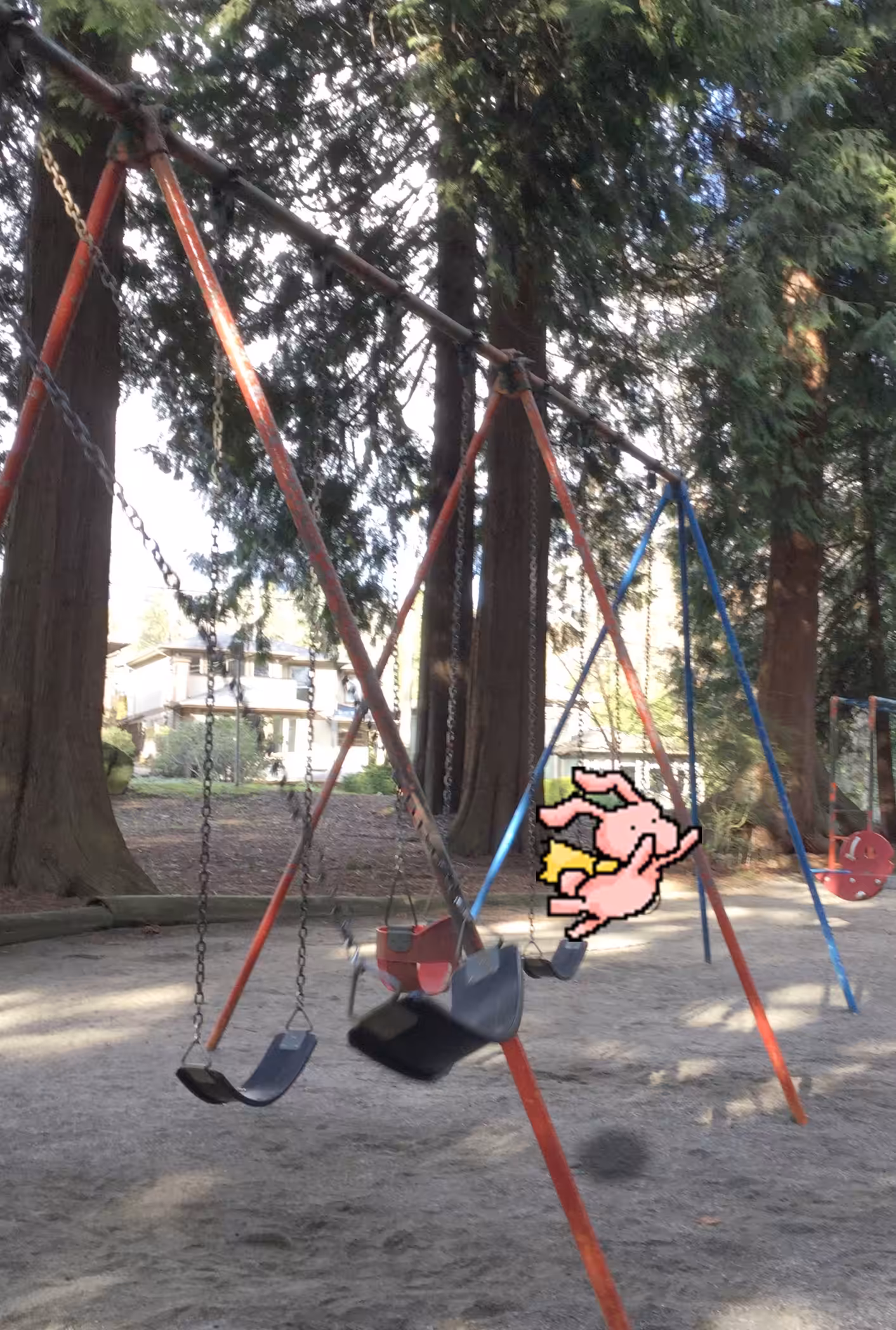 Flying rabbit